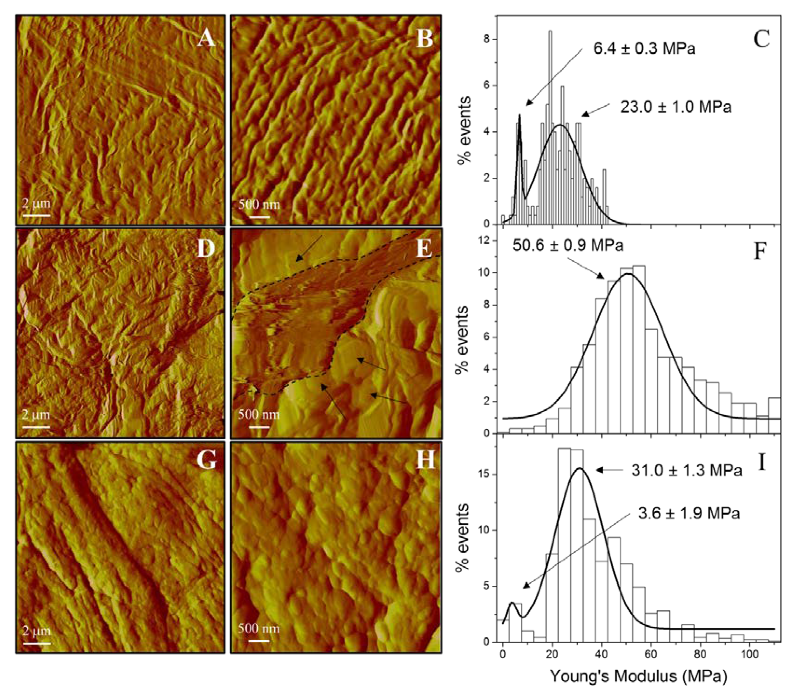 Pharmaceutics 12 00255 g005 Pharmaceutics 12 00255 g005