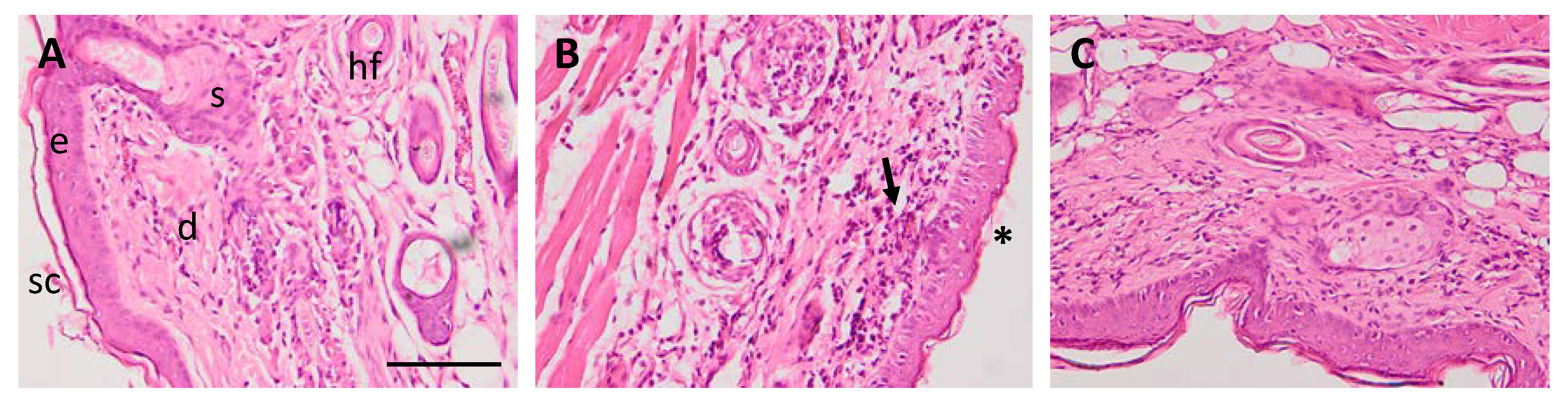 Pharmaceutics 12 00255 g006 Pharmaceutics 12 00255 g006