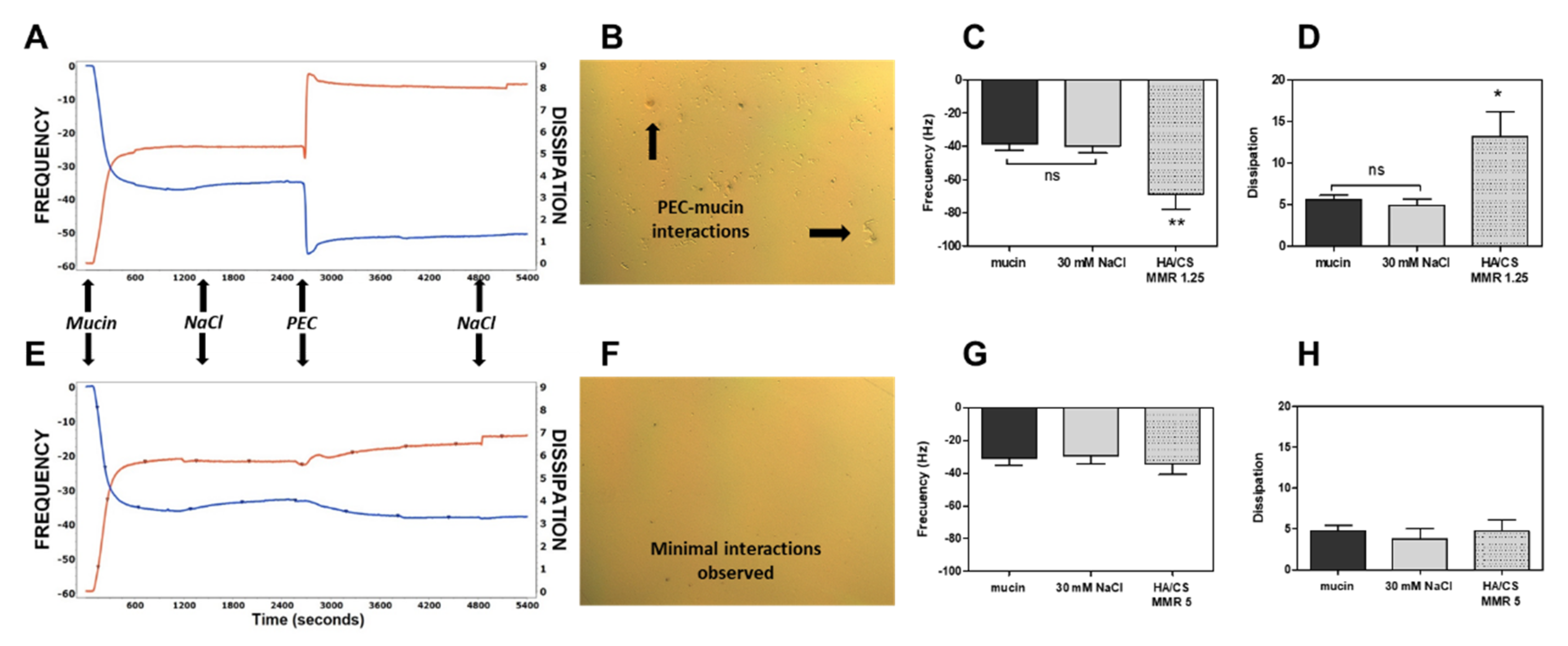 Pharmaceutics 12 00259 g003