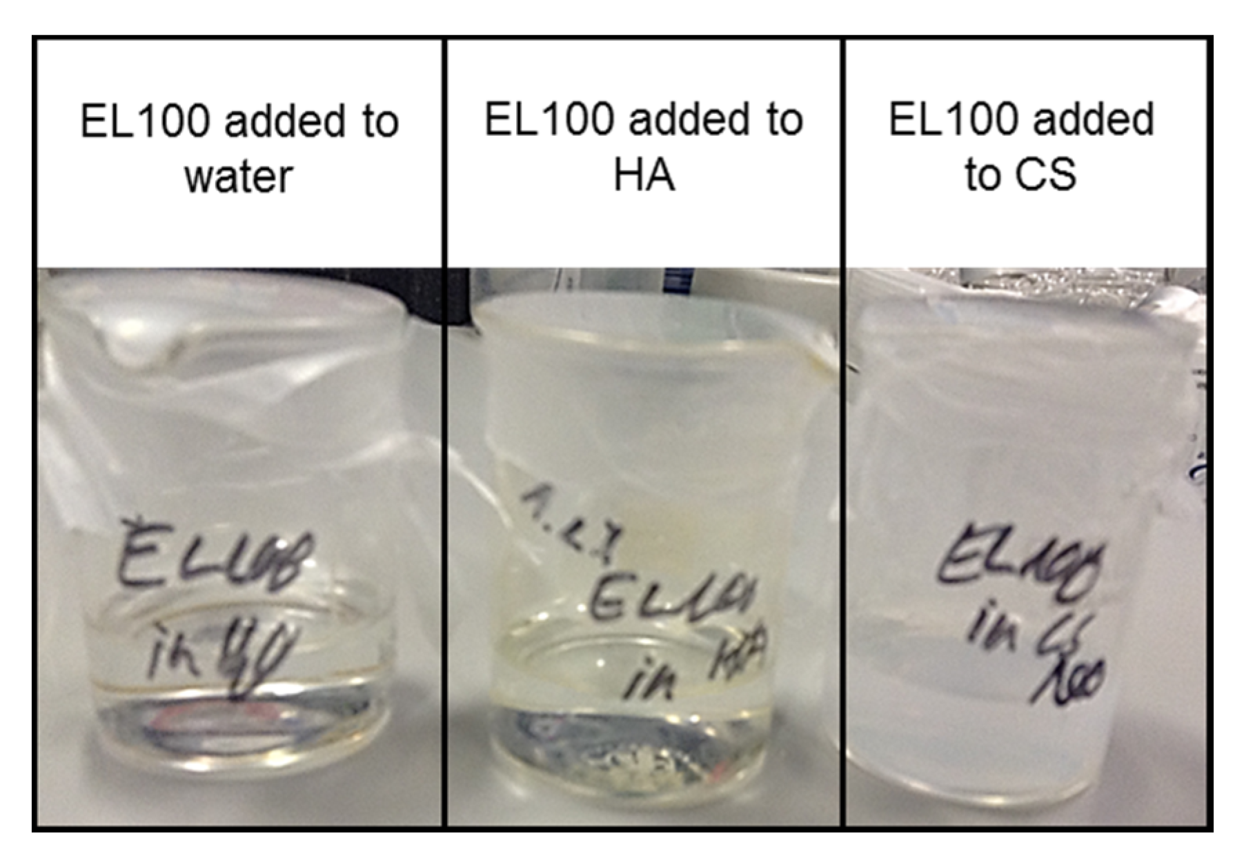 Pharmaceutics 12 00259 g0a2