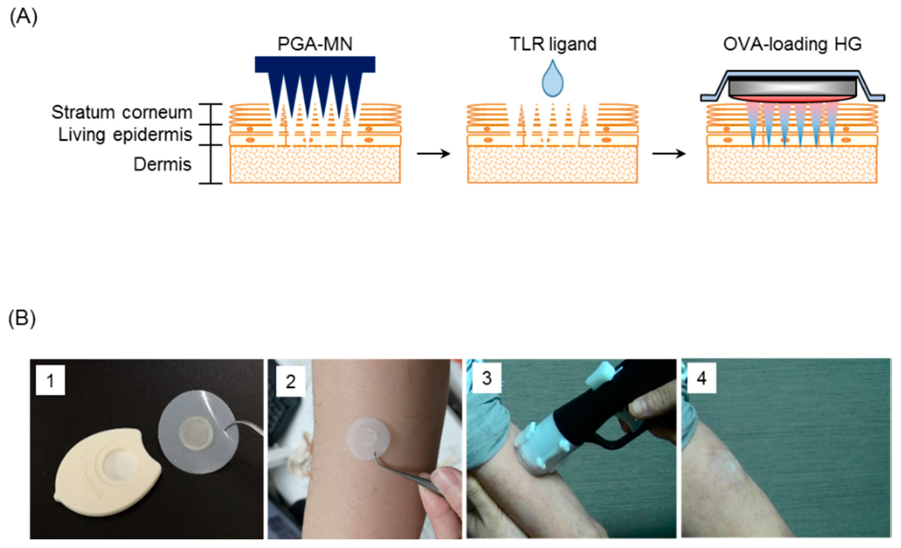 Pharmaceutics 12 00267 g001 Pharmaceutics 12 00267 g001