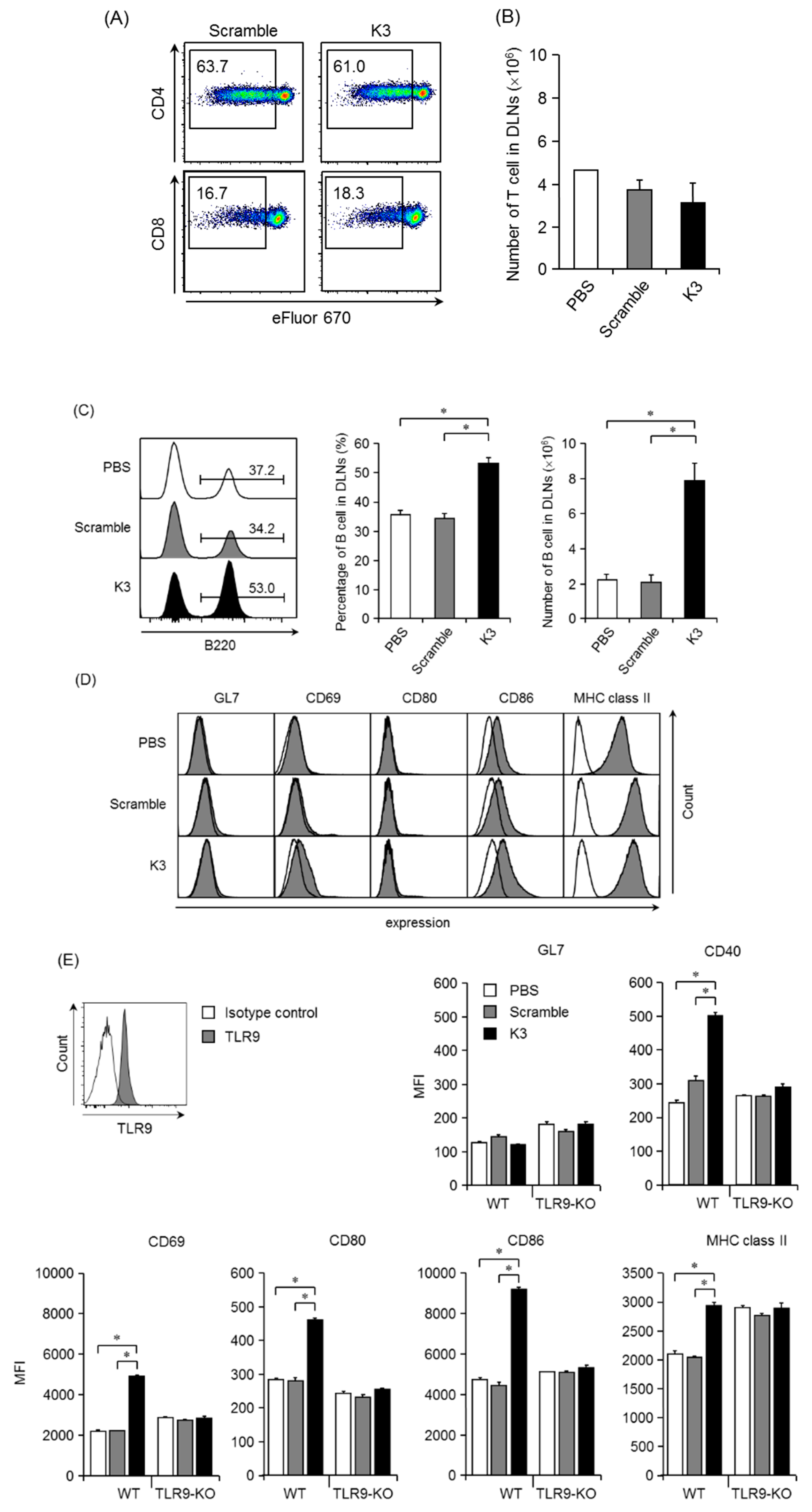 Pharmaceutics 12 00267 g005 Pharmaceutics 12 00267 g005