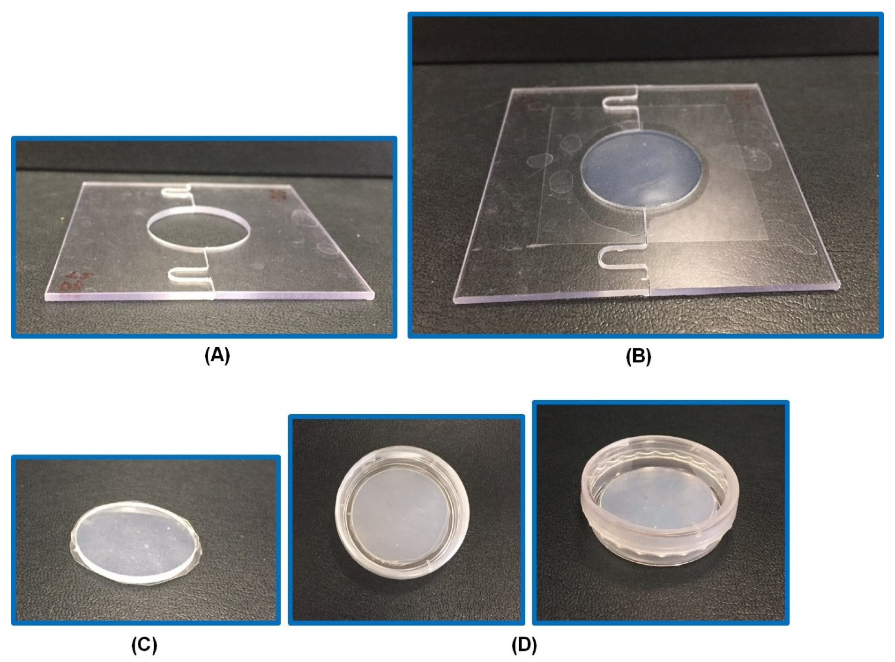 Pharmaceutics 12 00270 g001