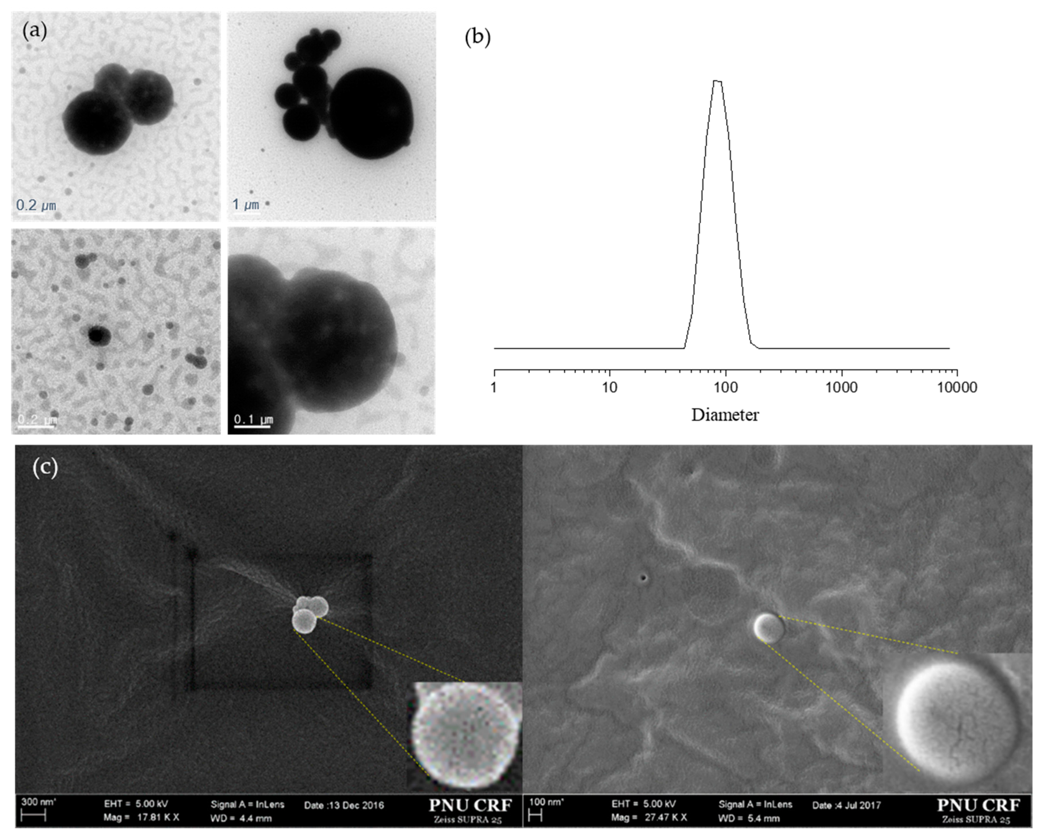 Pharmaceutics 12 00281 g004