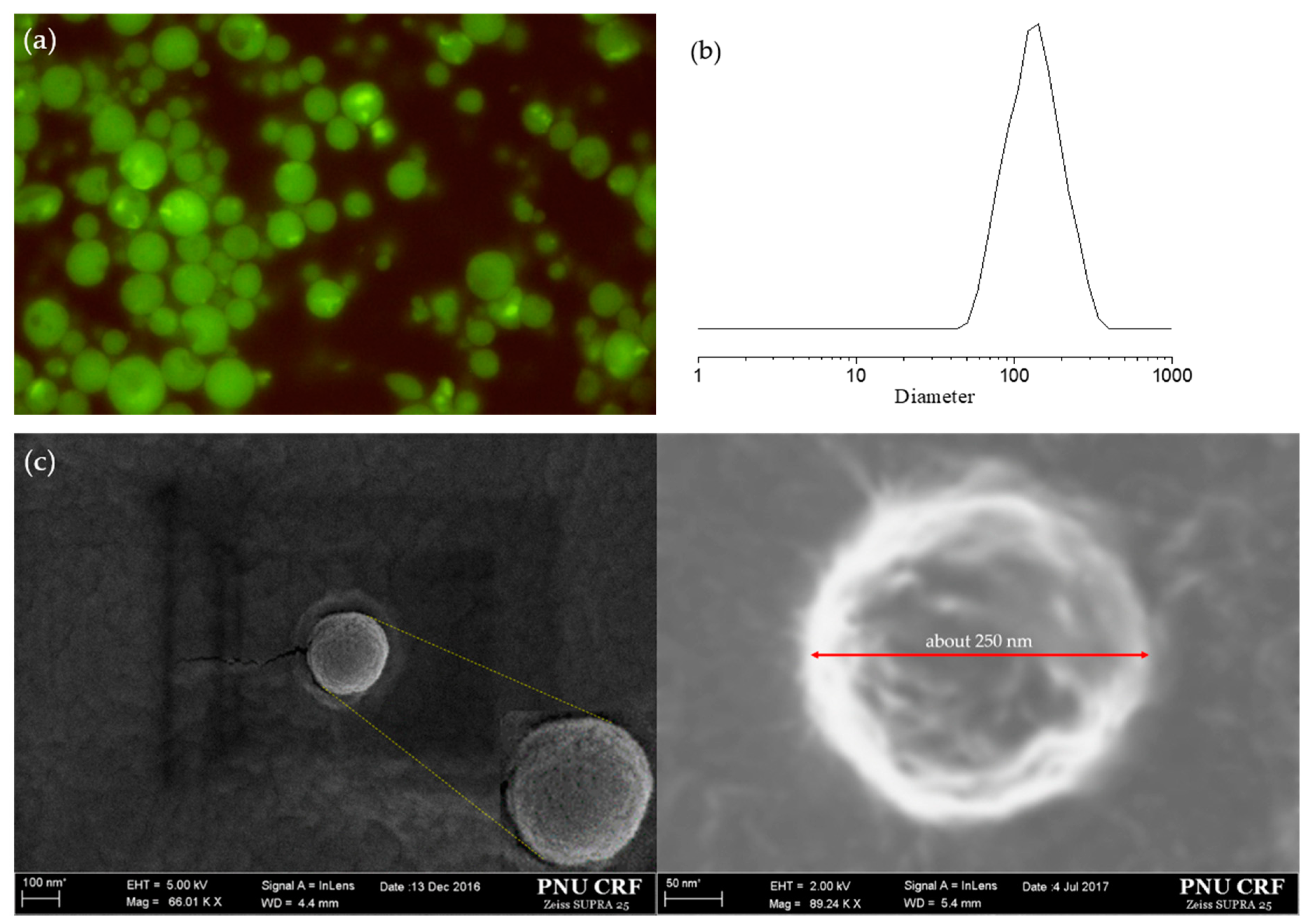 Pharmaceutics 12 00281 g005