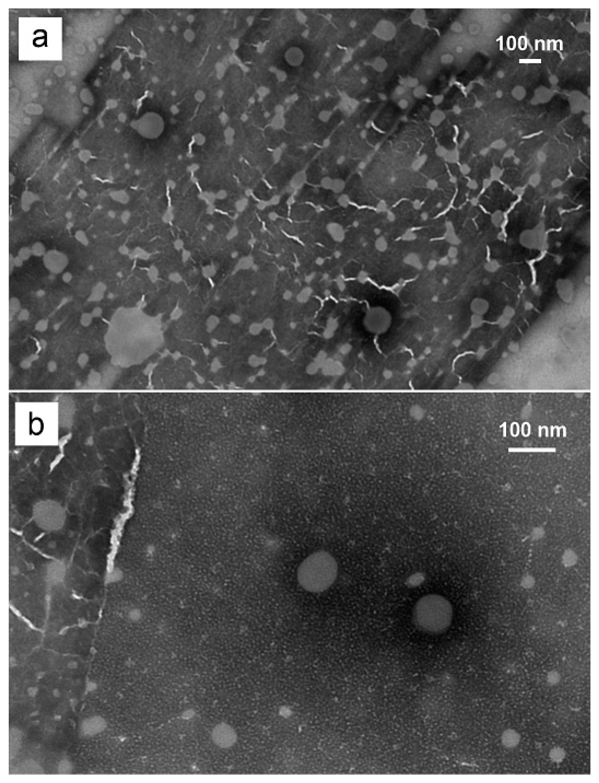 Pharmaceutics 12 00282 g004