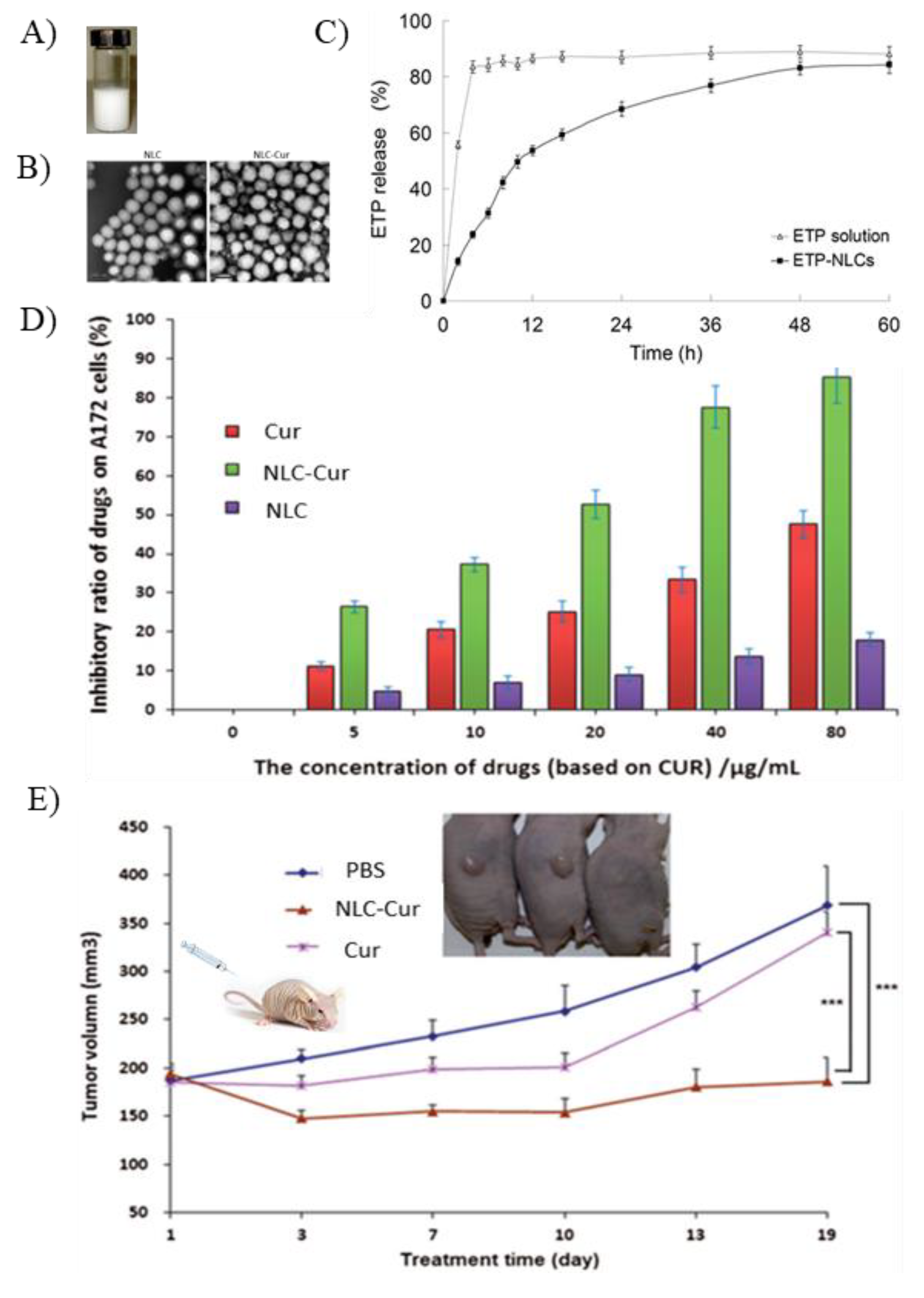 Pharmaceutics 12 00288 g005