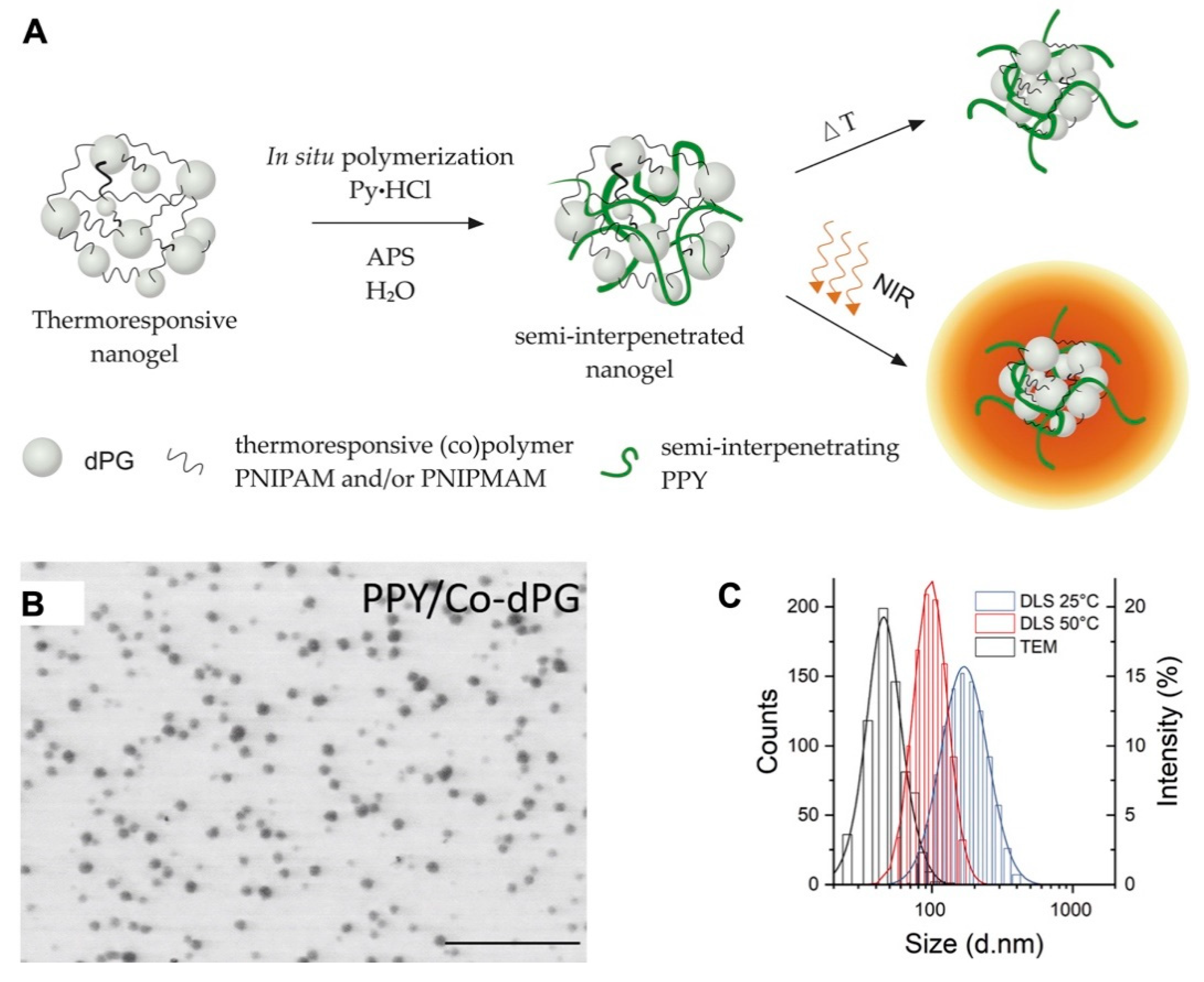 Pharmaceutics 12 00290 g001
