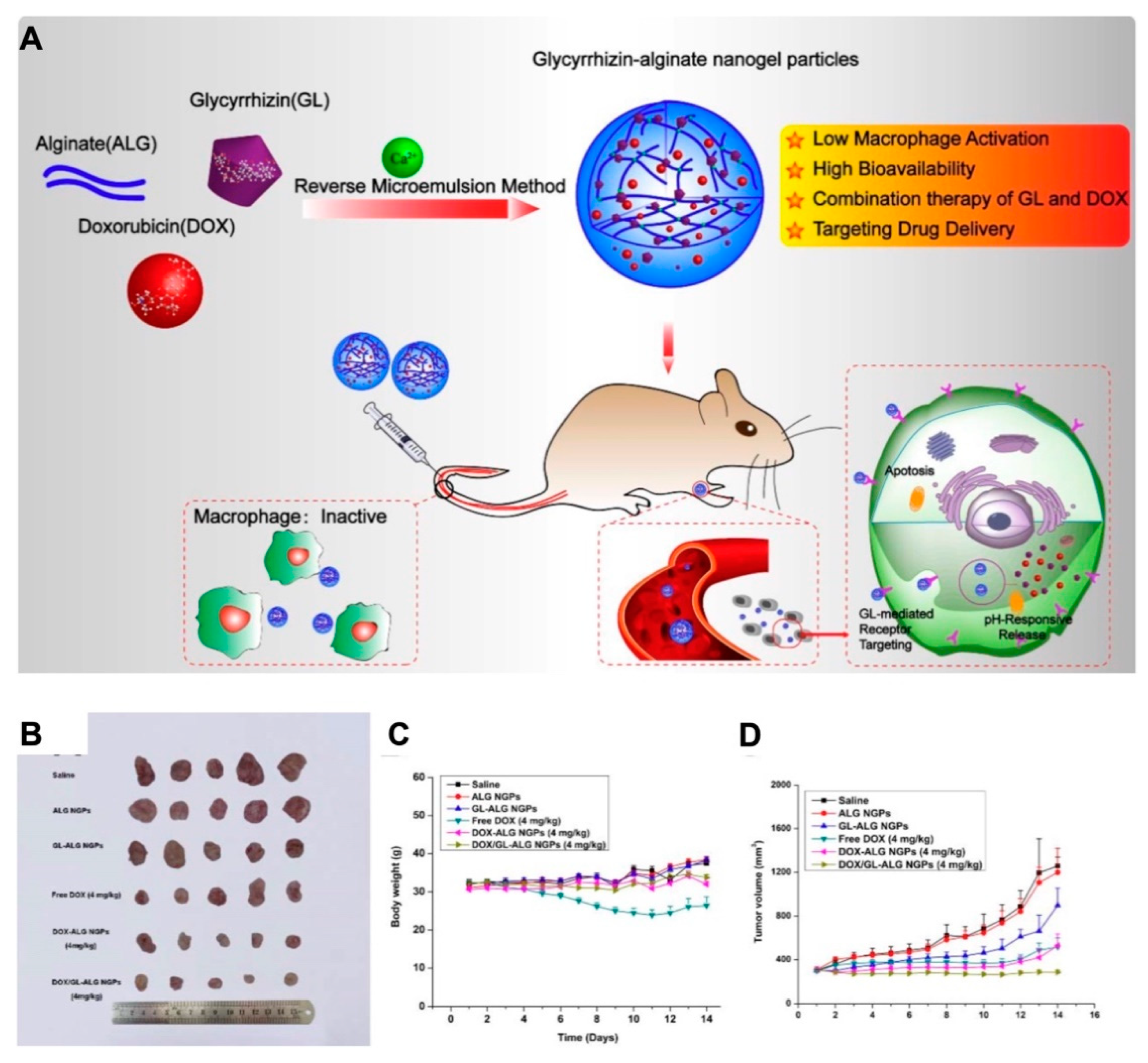 Pharmaceutics 12 00290 g009