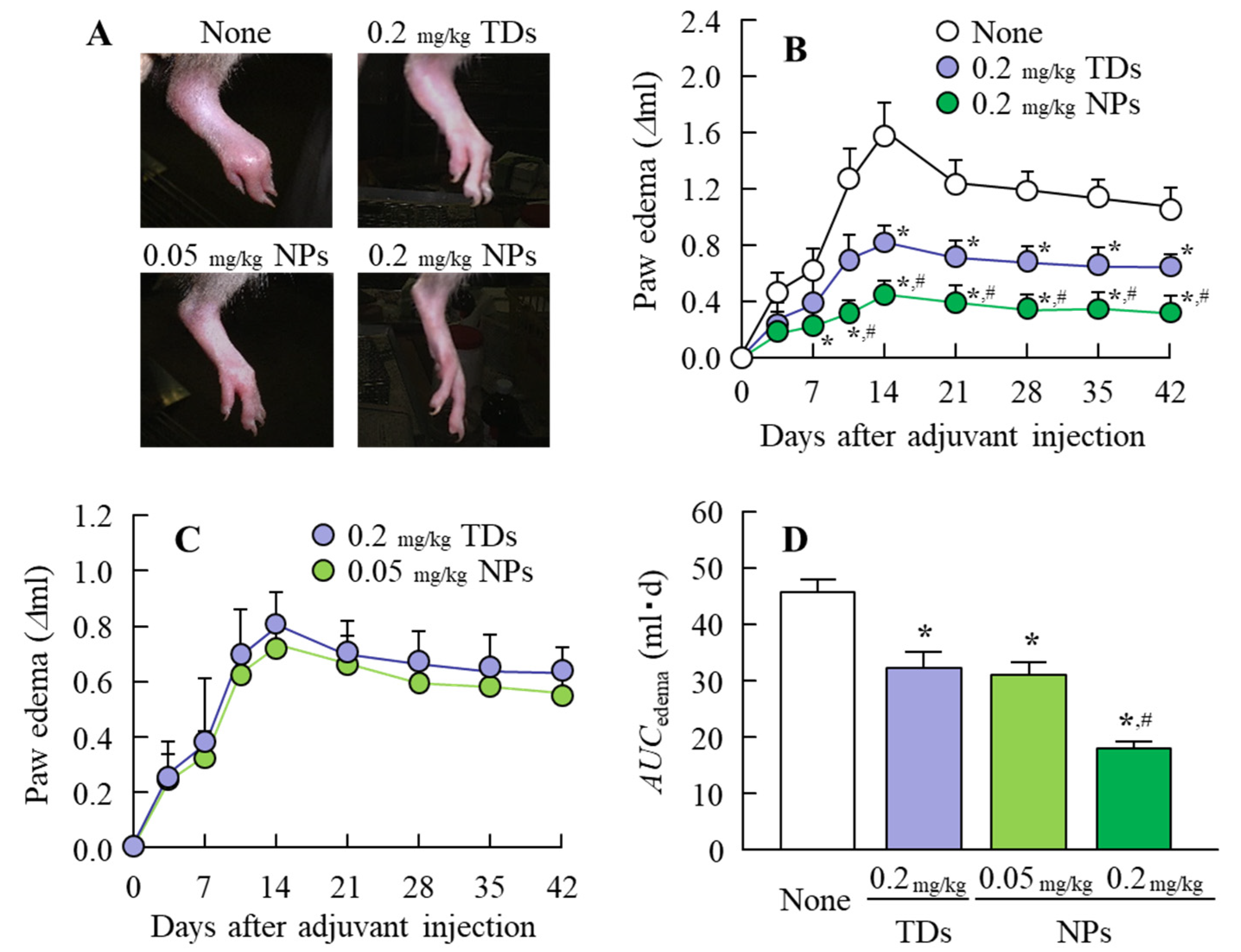 Pharmaceutics 12 00313 g006 Pharmaceutics 12 00313 g006