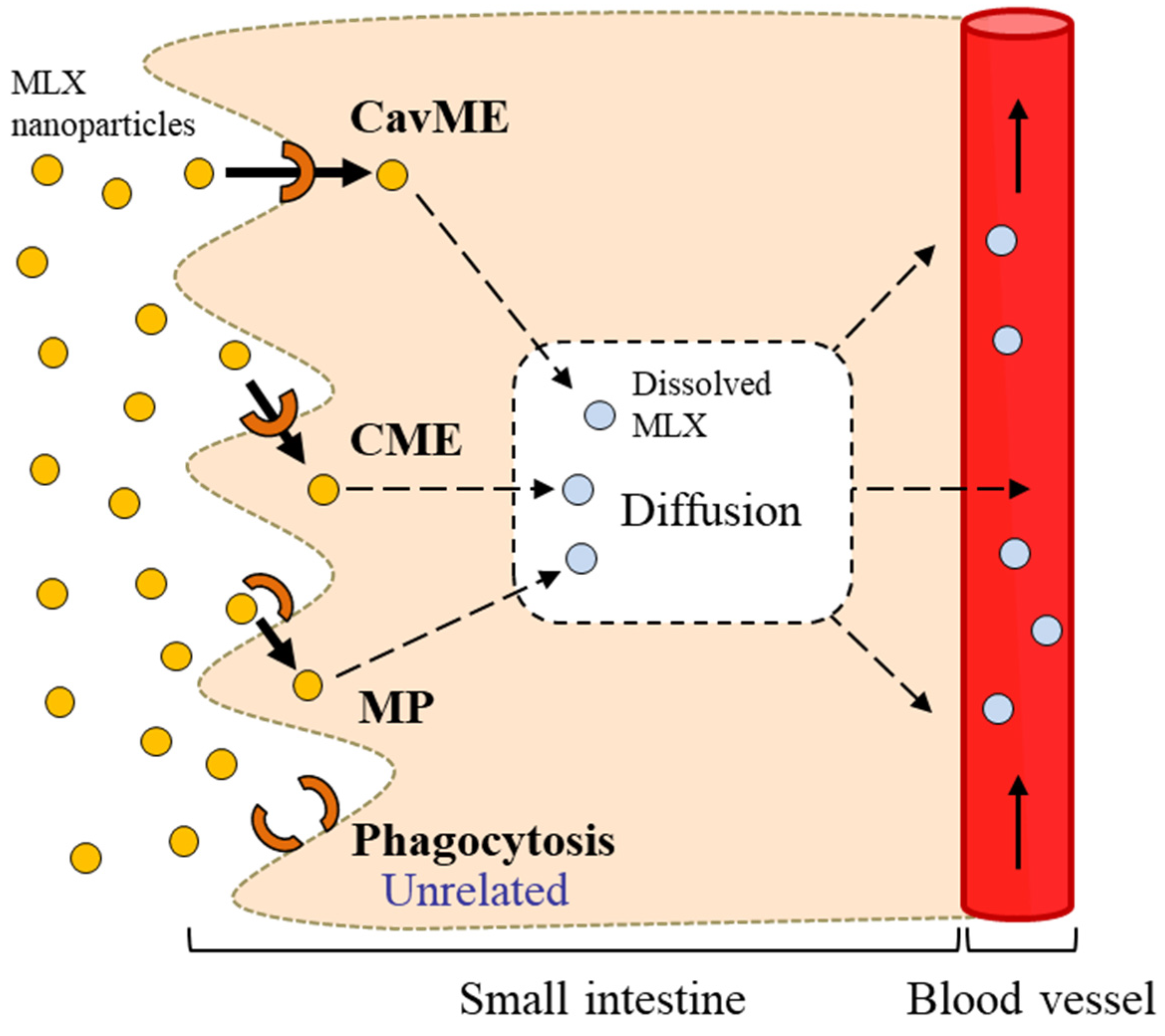 Pharmaceutics 12 00313 sch001 Pharmaceutics 12 00313 sch001