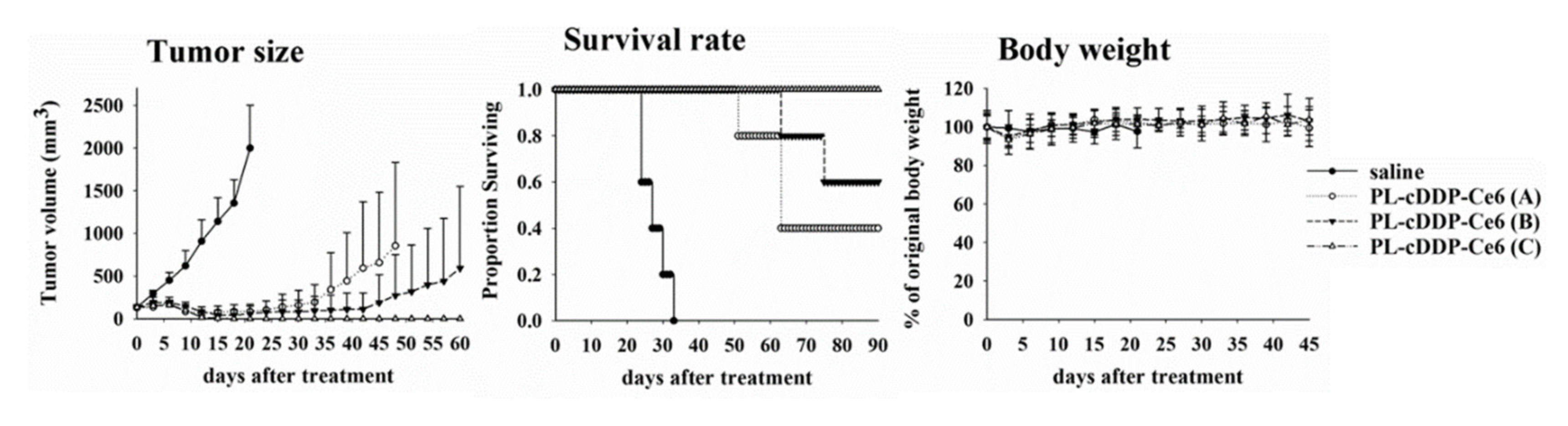 Pharmaceutics 12 00317 g003