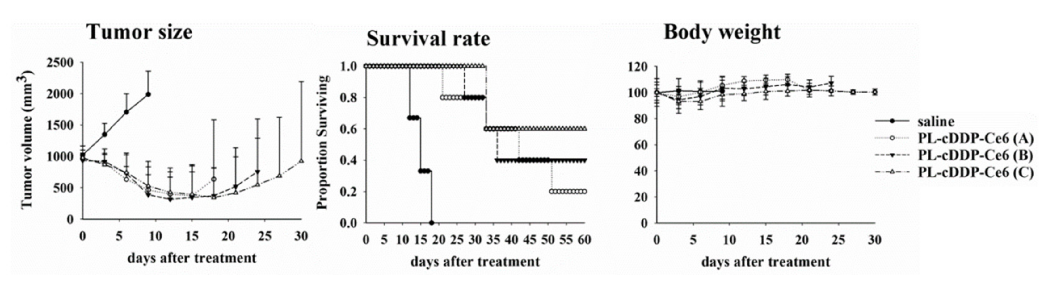 Pharmaceutics 12 00317 g005