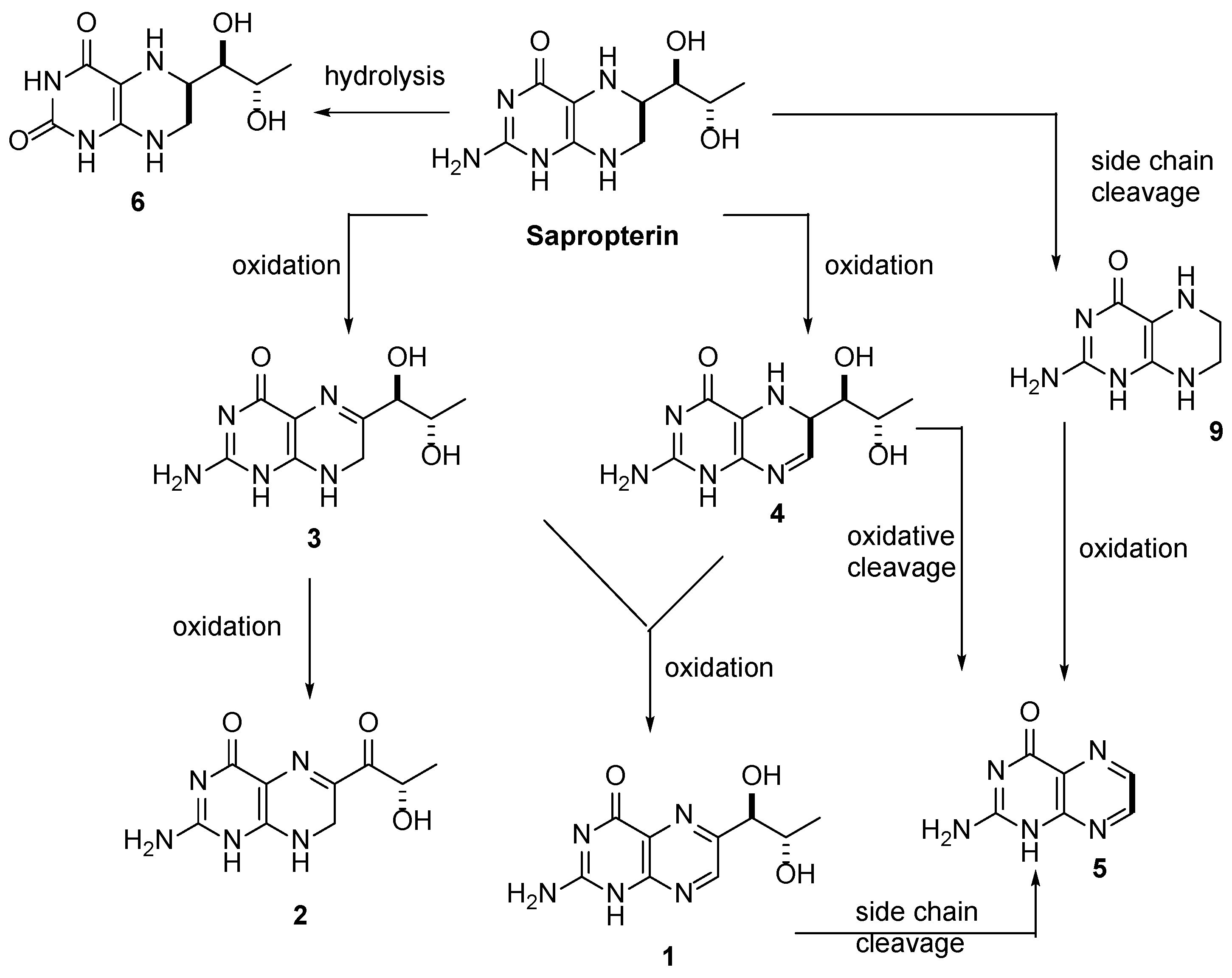 Pharmaceutics 12 00323 g004 Pharmaceutics 12 00323 g004