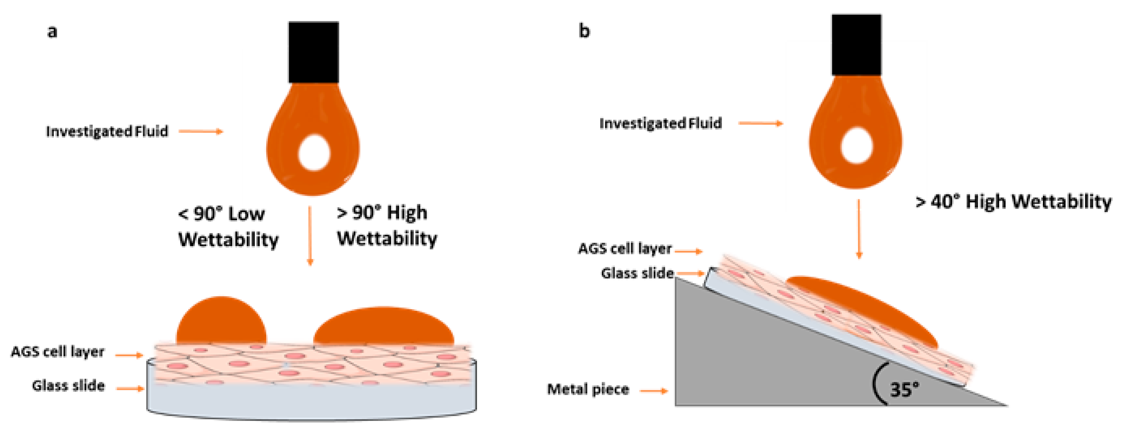 Pharmaceutics 12 00331 g001
