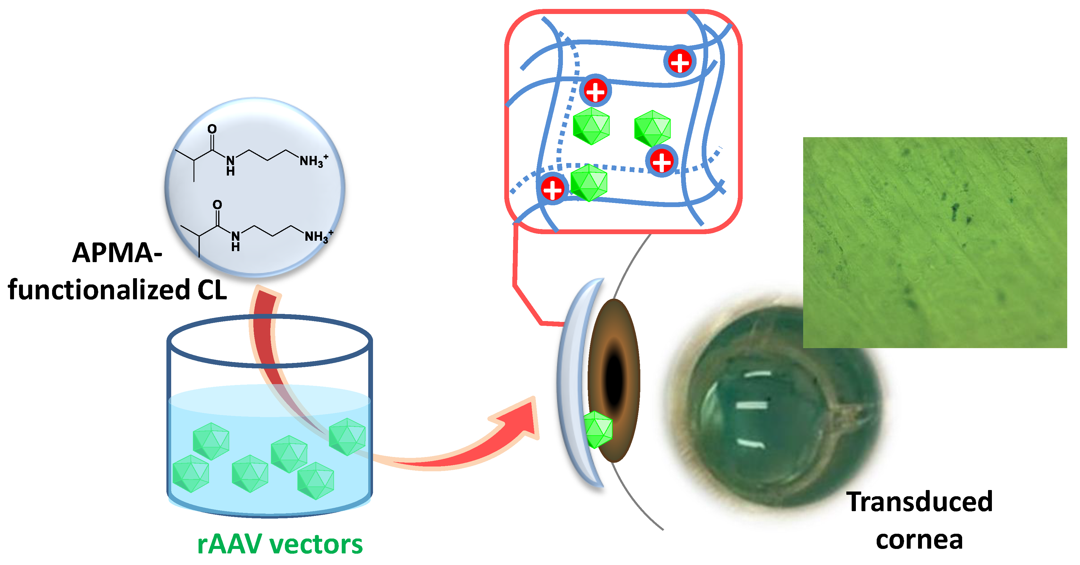 Pharmaceutics 12 00335 g001