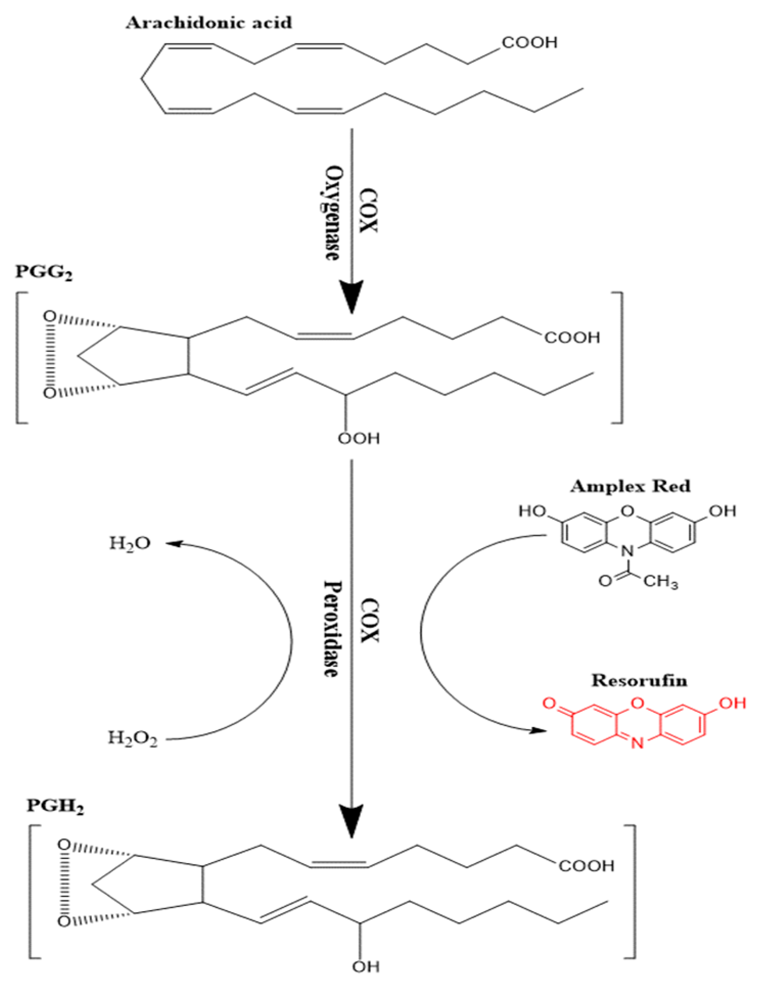 Pharmaceutics 12 00344 g002