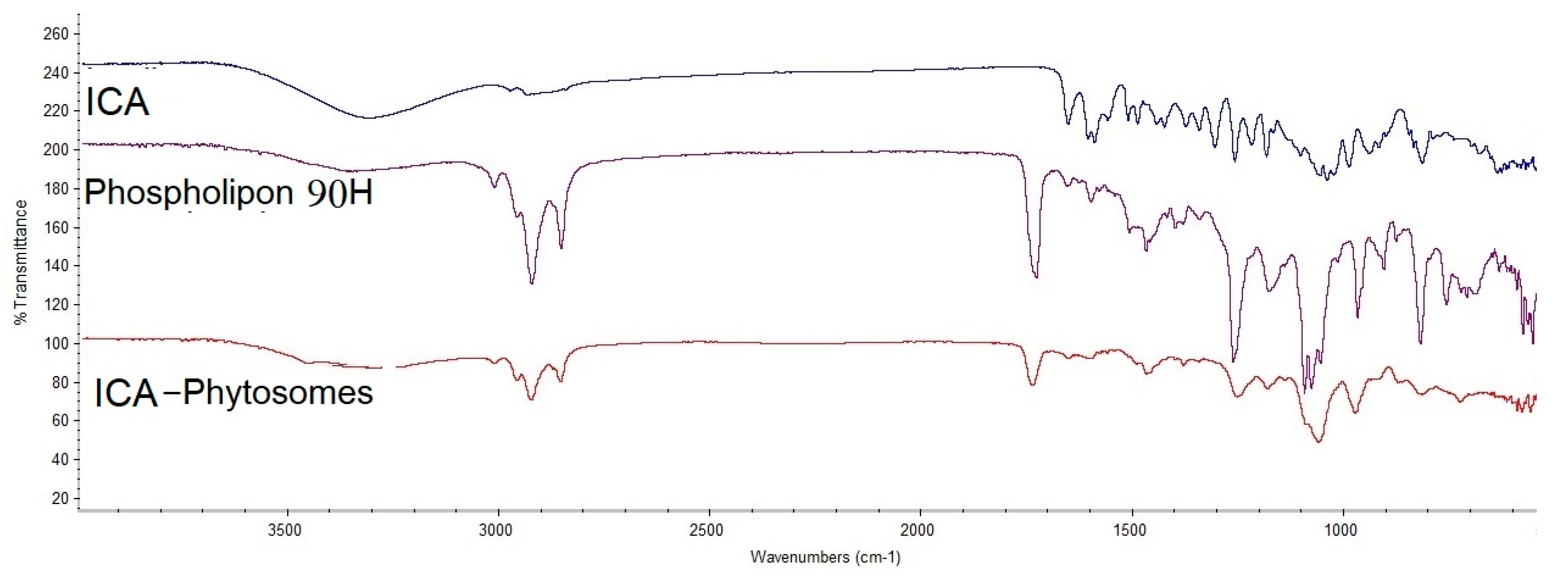 Pharmaceutics 12 00346 g005
