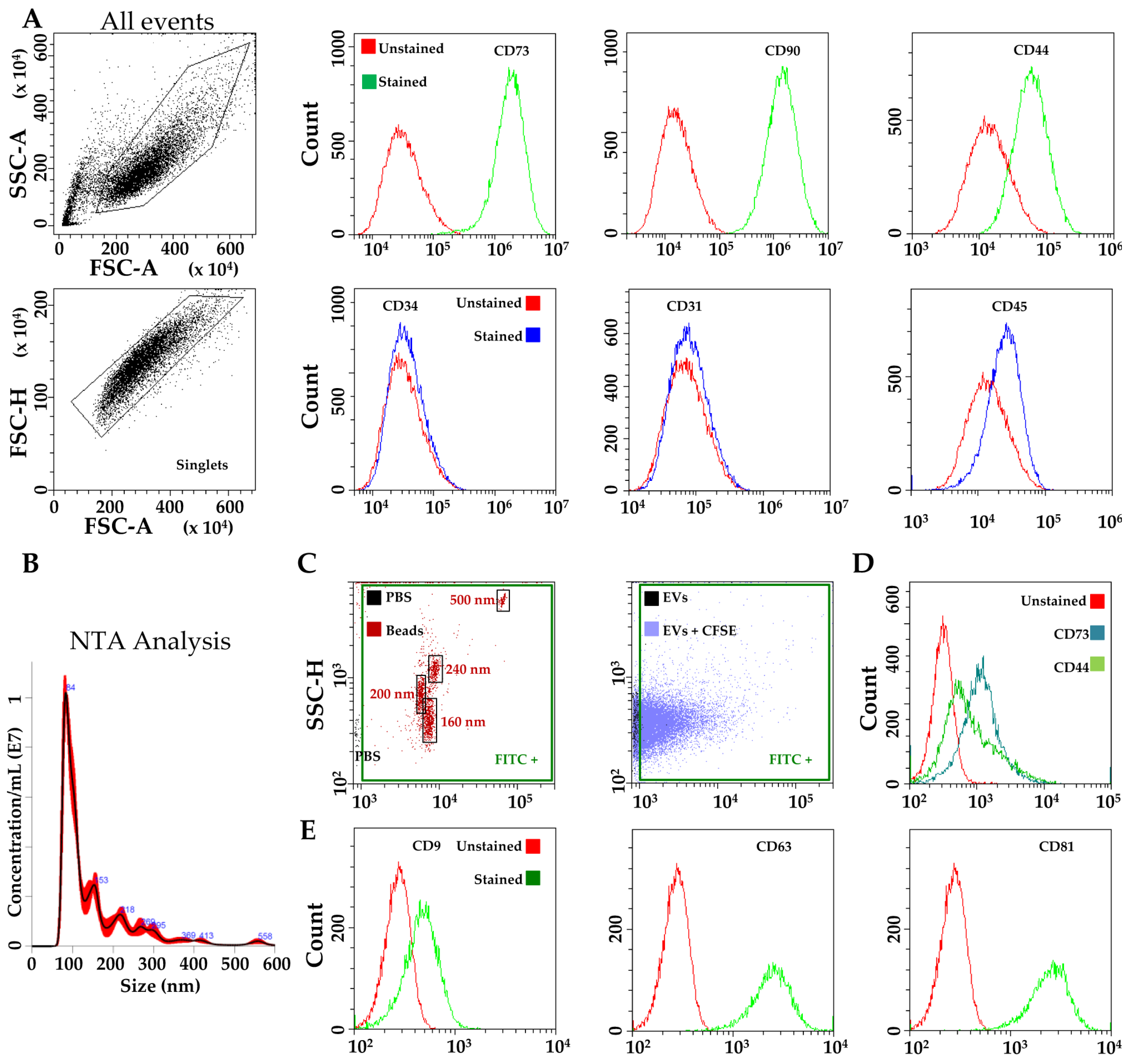 Pharmaceutics 12 00347 g001 Pharmaceutics 12 00347 g001