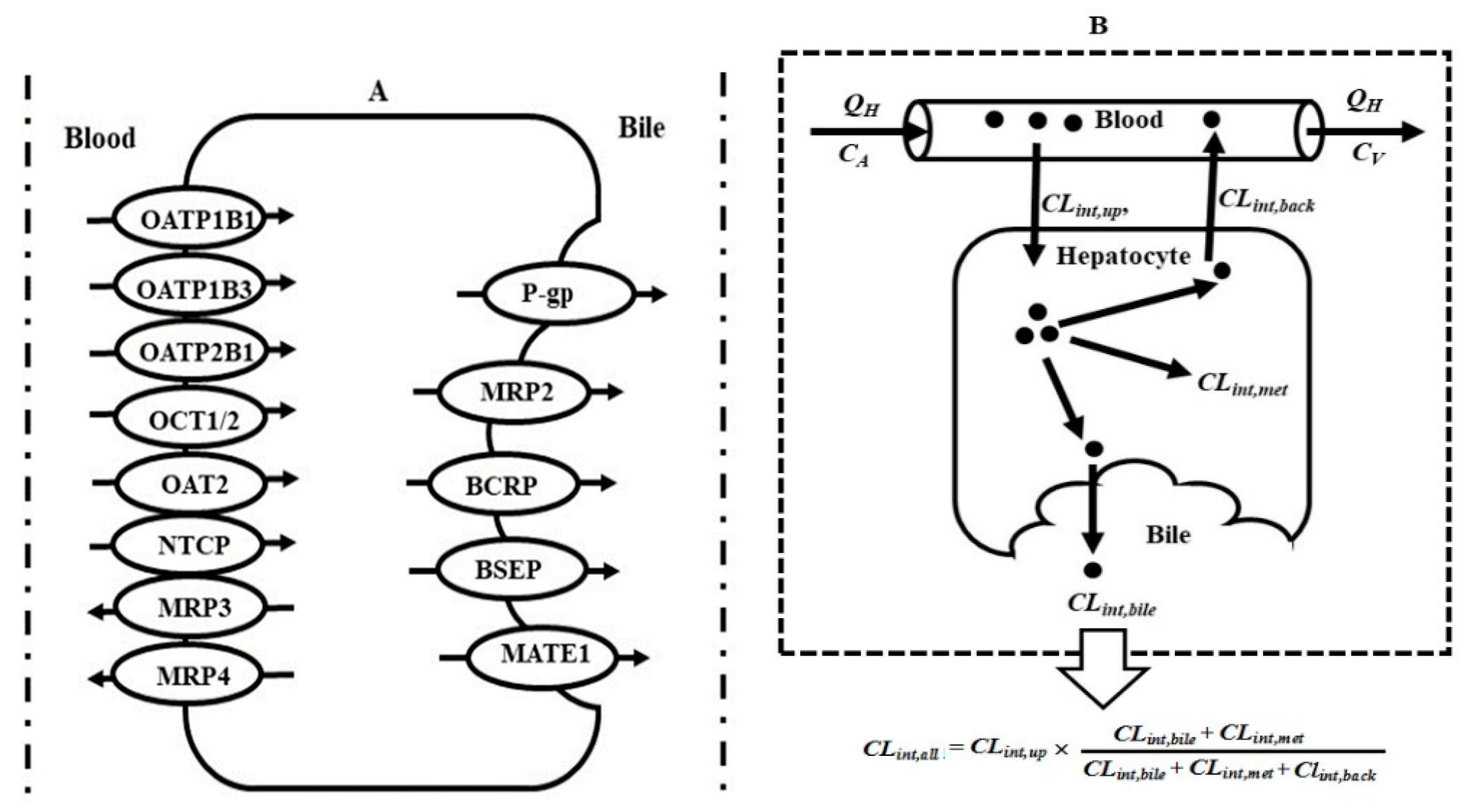 Pharmaceutics 12 00348 g001