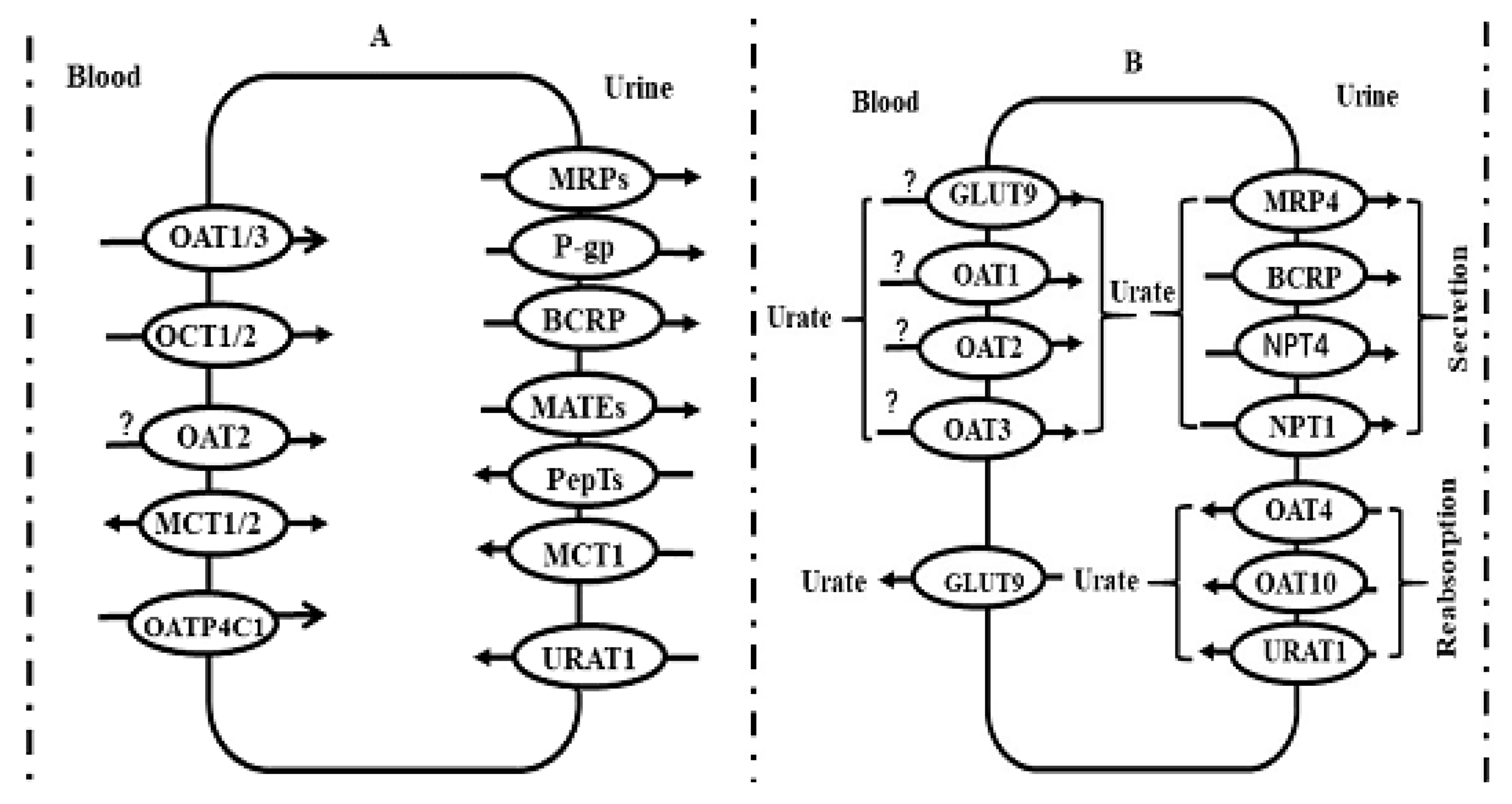 Pharmaceutics 12 00348 g003