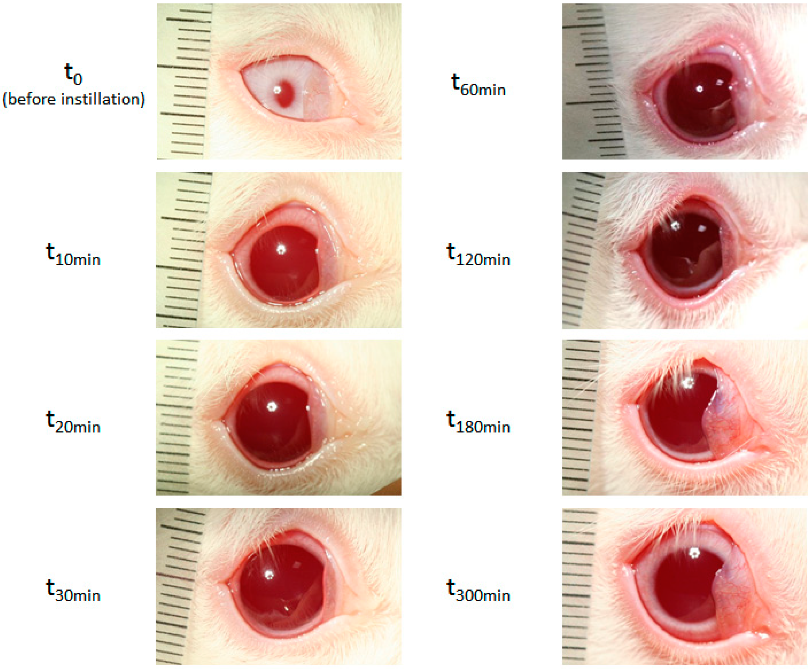 Pharmaceutics 12 00360 g007 Pharmaceutics 12 00360 g007