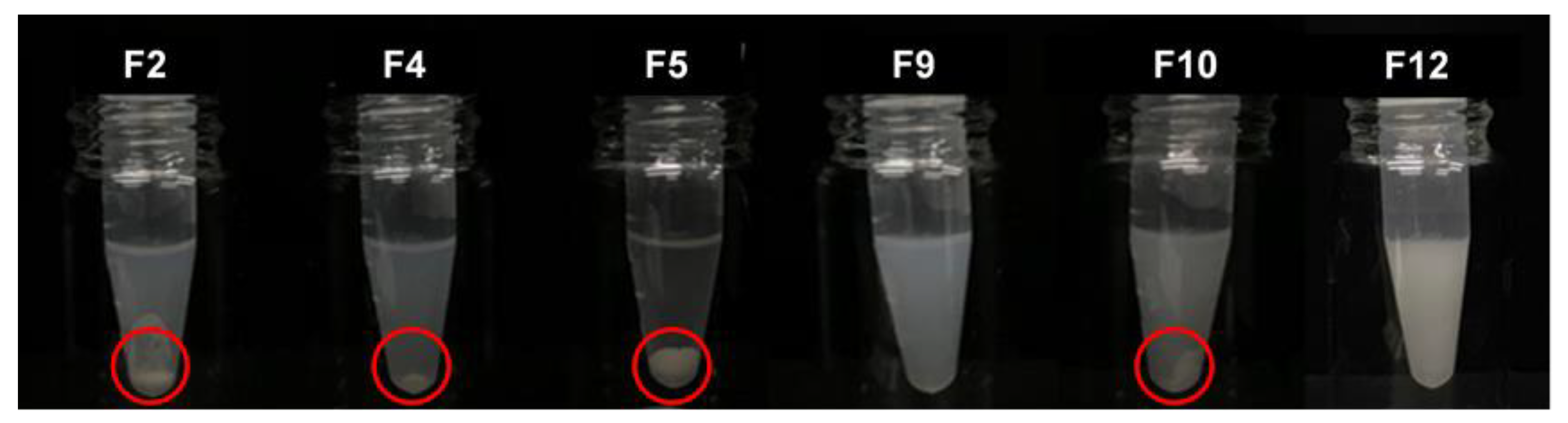 Pharmaceutics 12 00362 g004