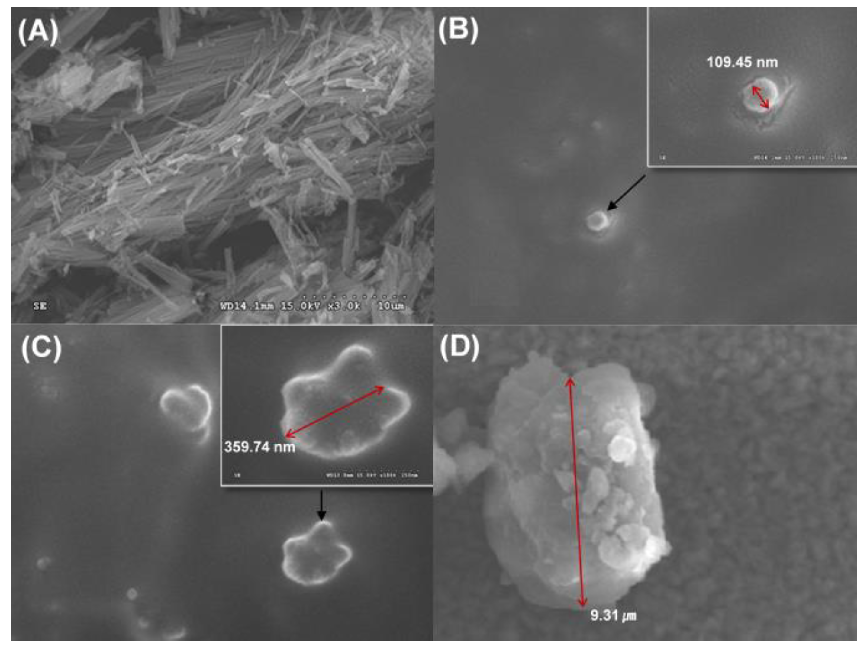 Pharmaceutics 12 00362 g005