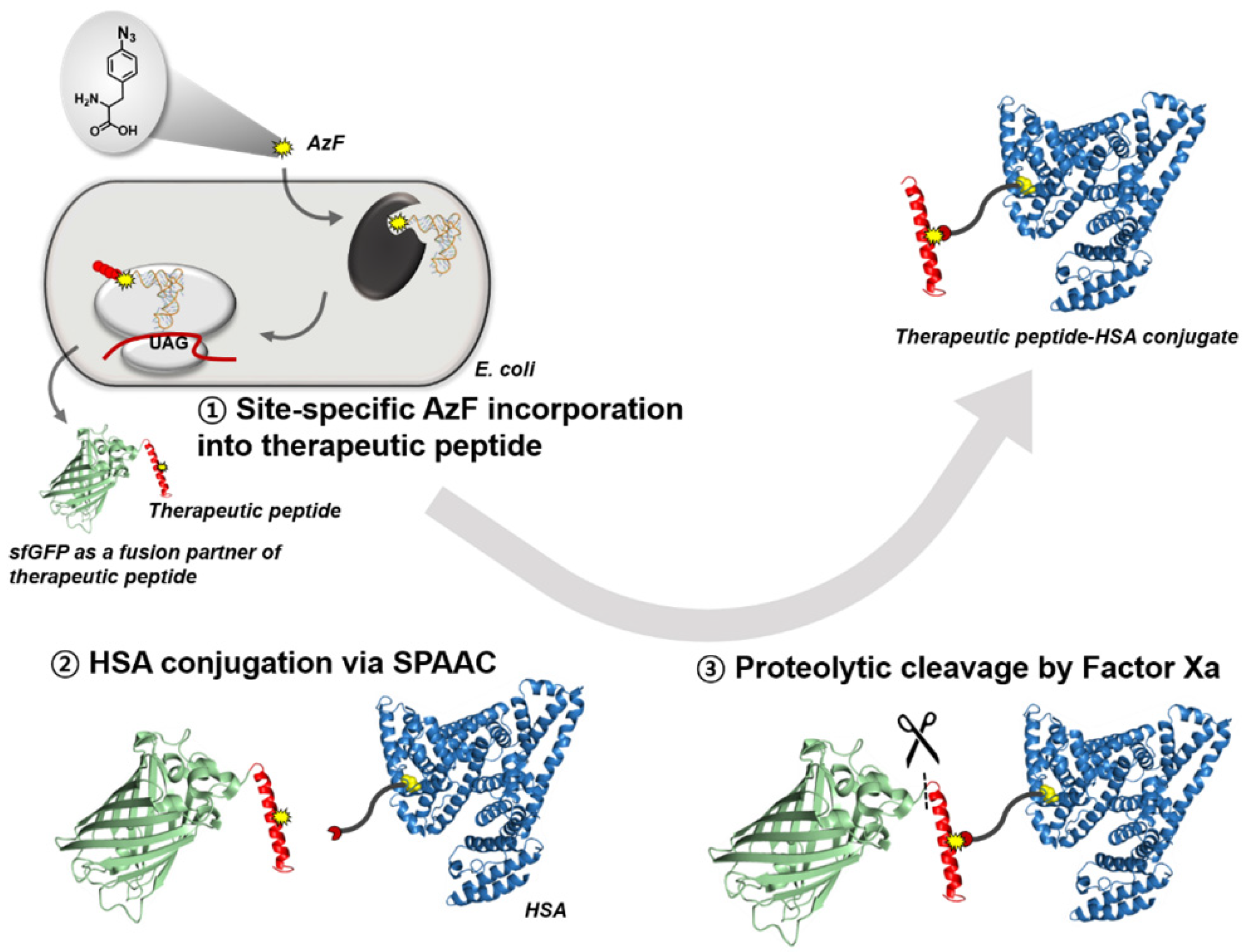 Pharmaceutics 12 00364 g001 Pharmaceutics 12 00364 g001
