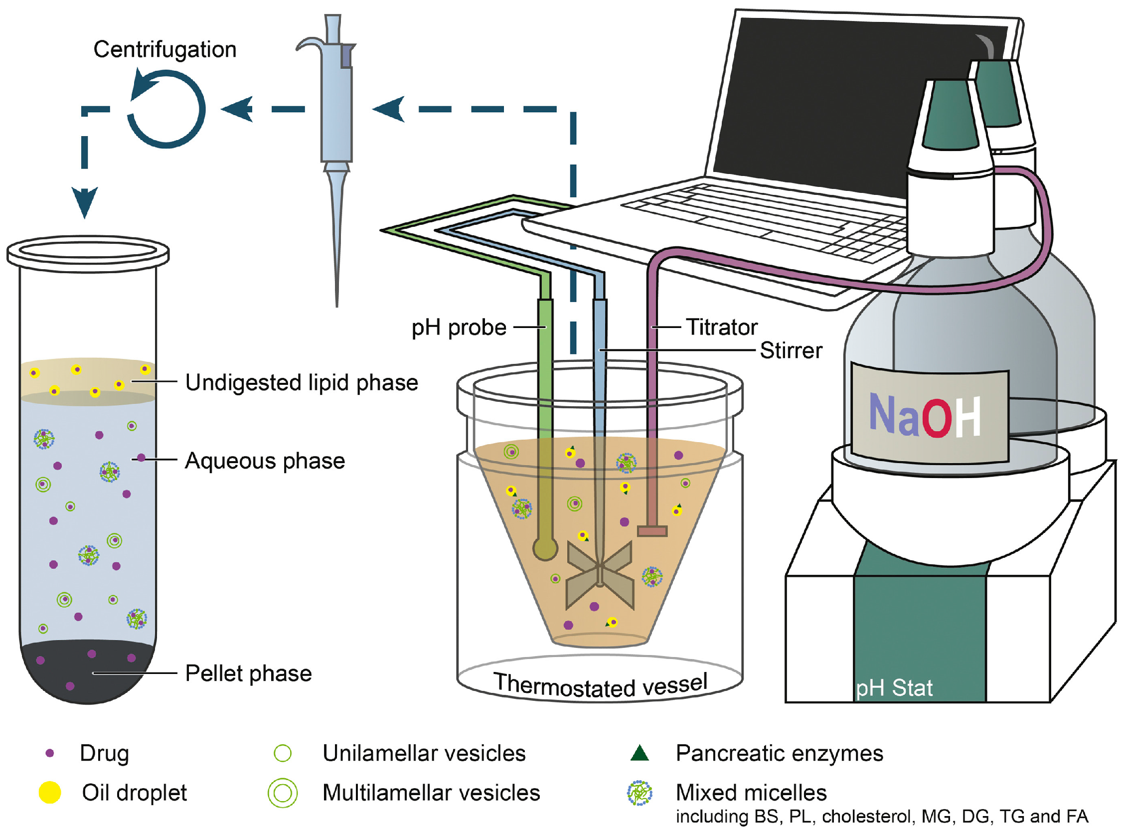 Pharmaceutics 12 00365 g005