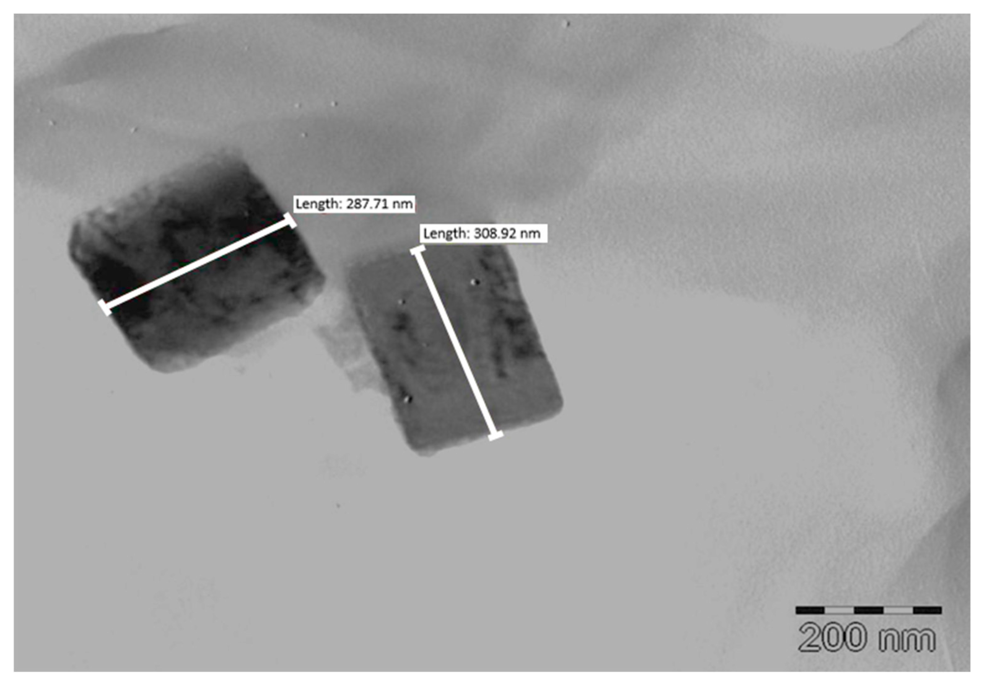 Pharmaceutics 12 00367 g008