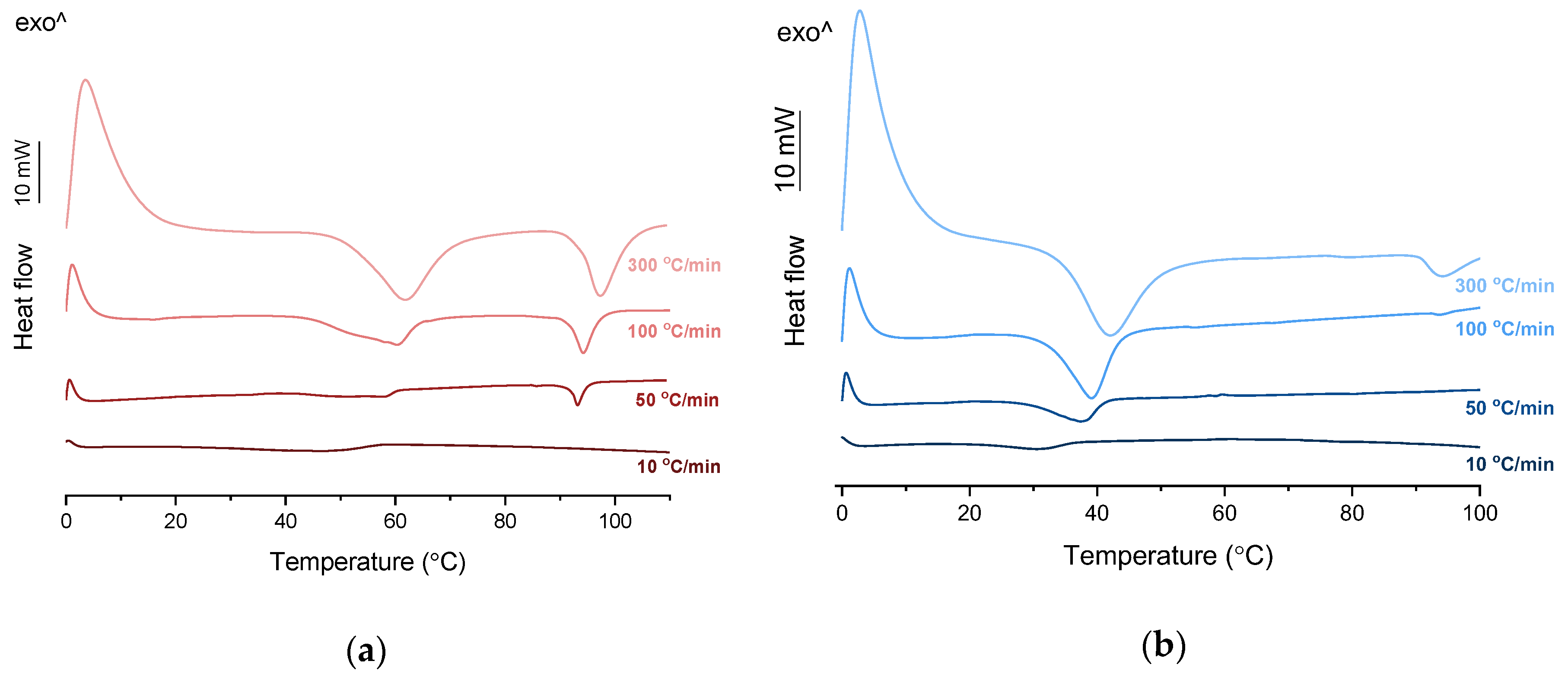 Pharmaceutics 12 00368 g004