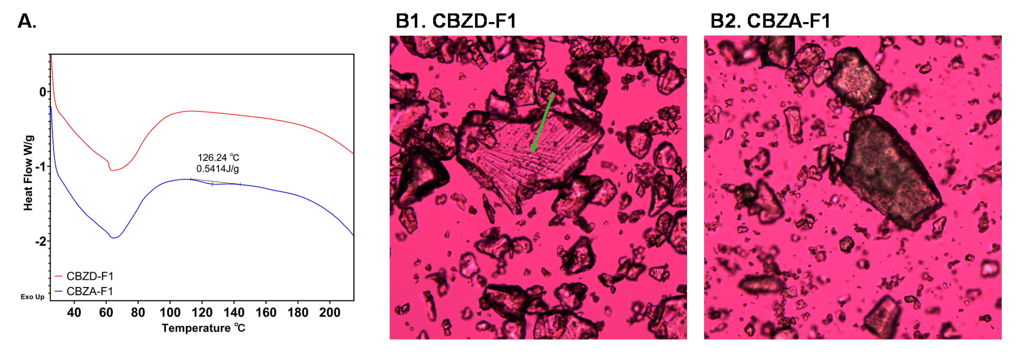 Pharmaceutics 12 00379 g006