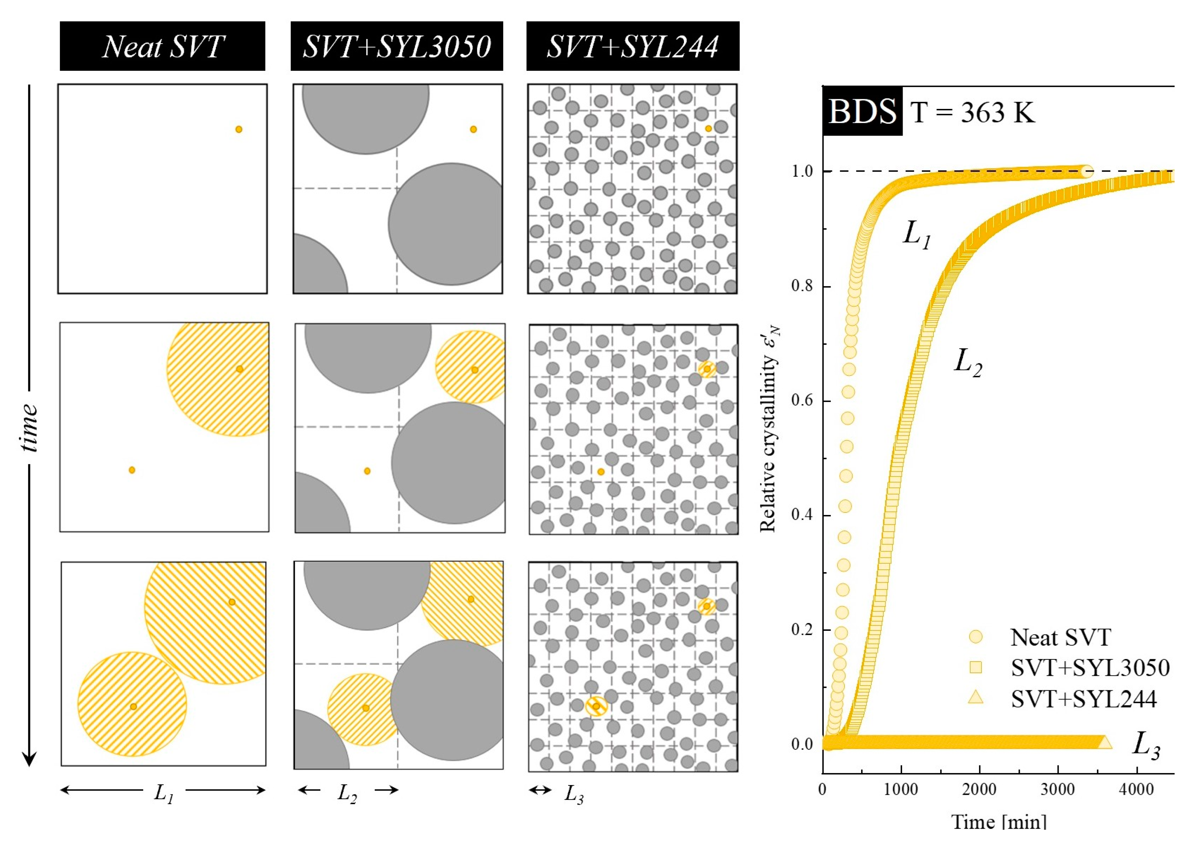 Pharmaceutics 12 00384 g012
