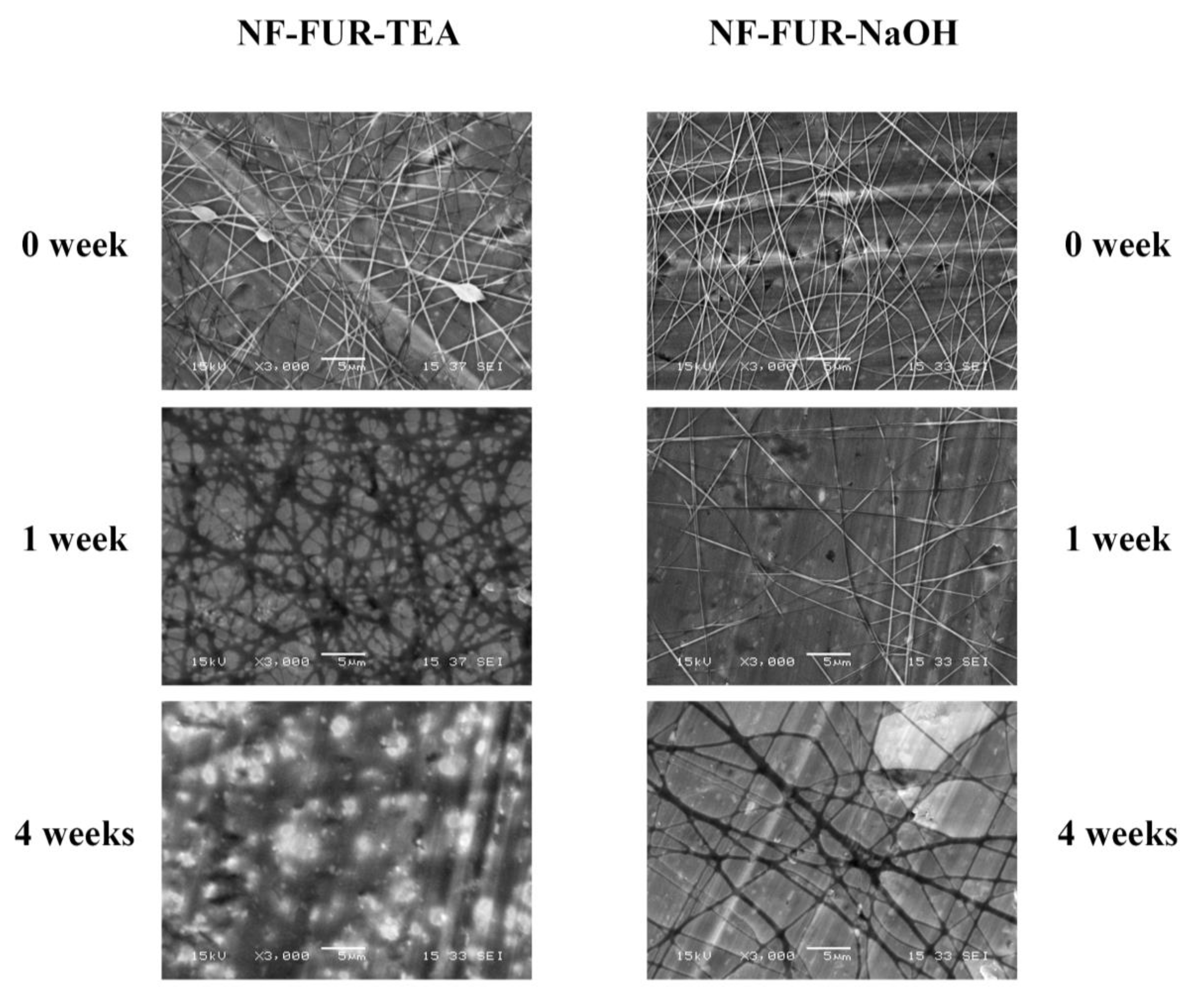 Pharmaceutics 12 00385 g002