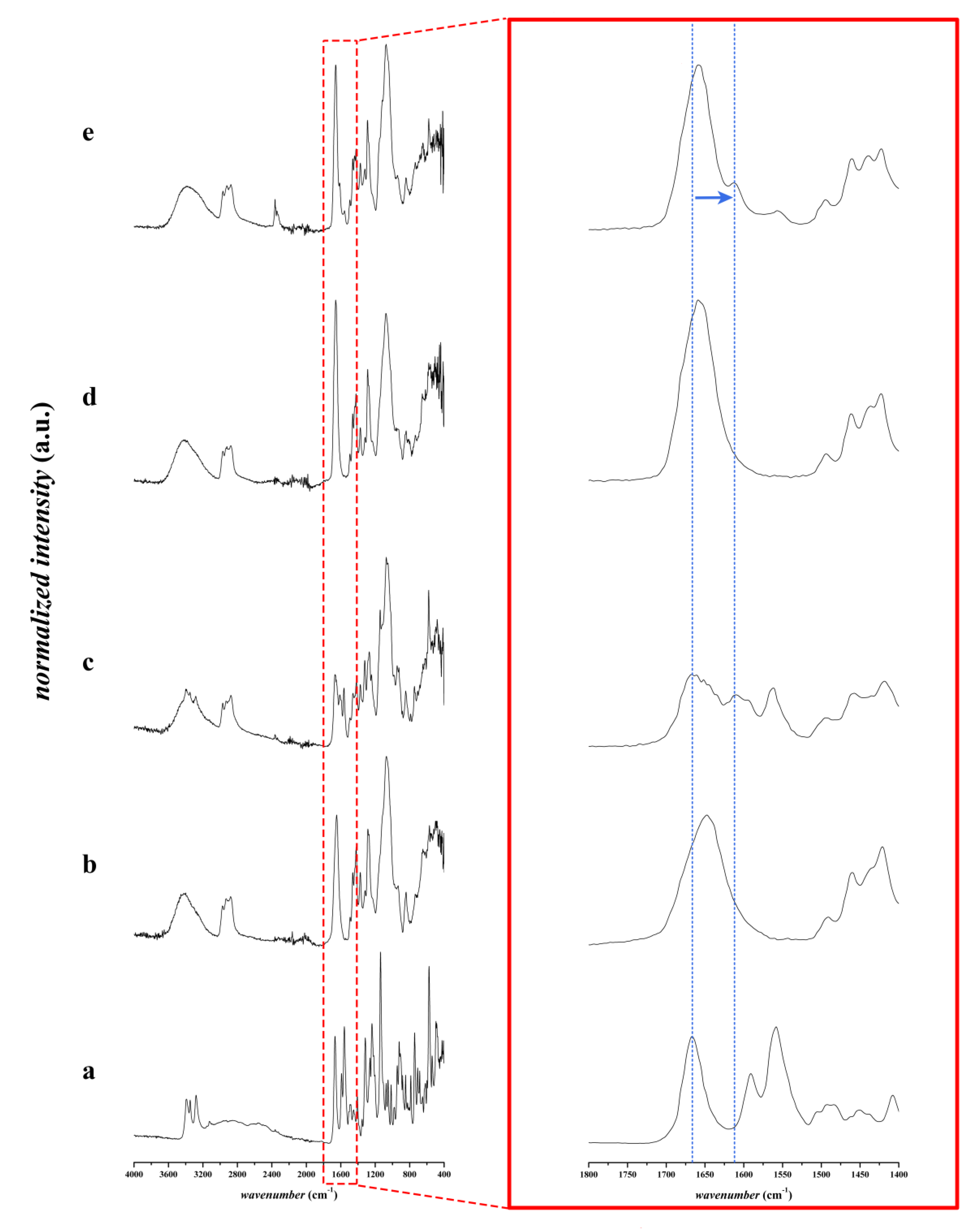 Pharmaceutics 12 00385 g004