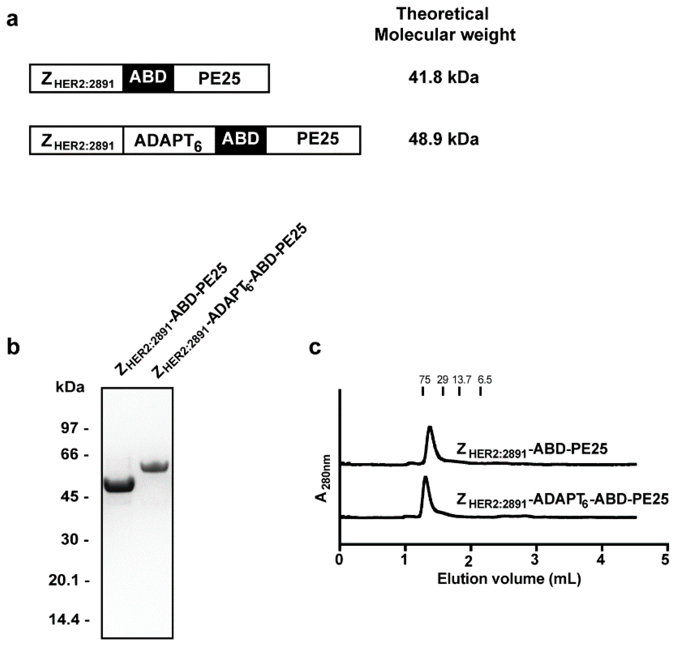 Pharmaceutics 12 00391 g001