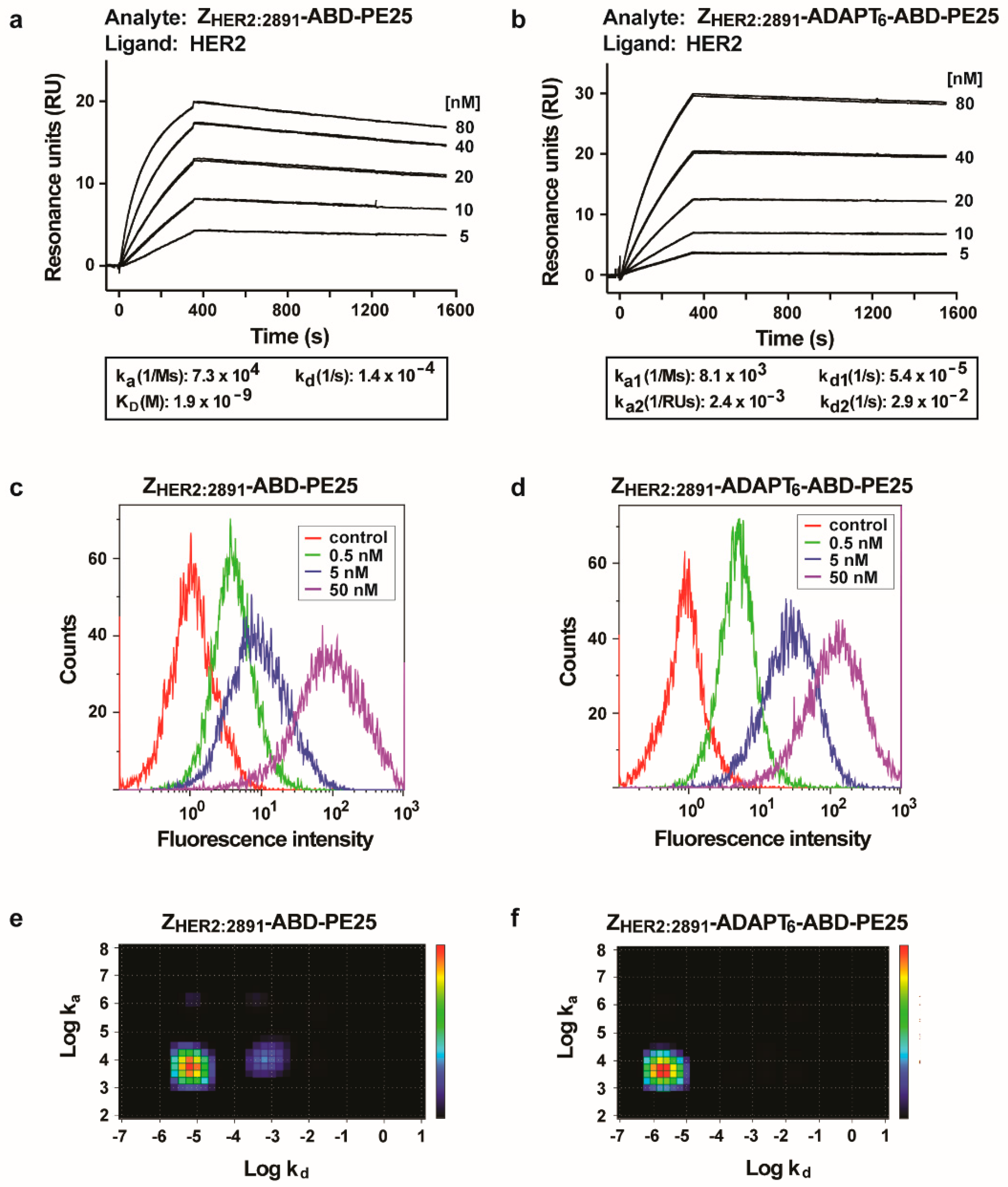 Pharmaceutics 12 00391 g002