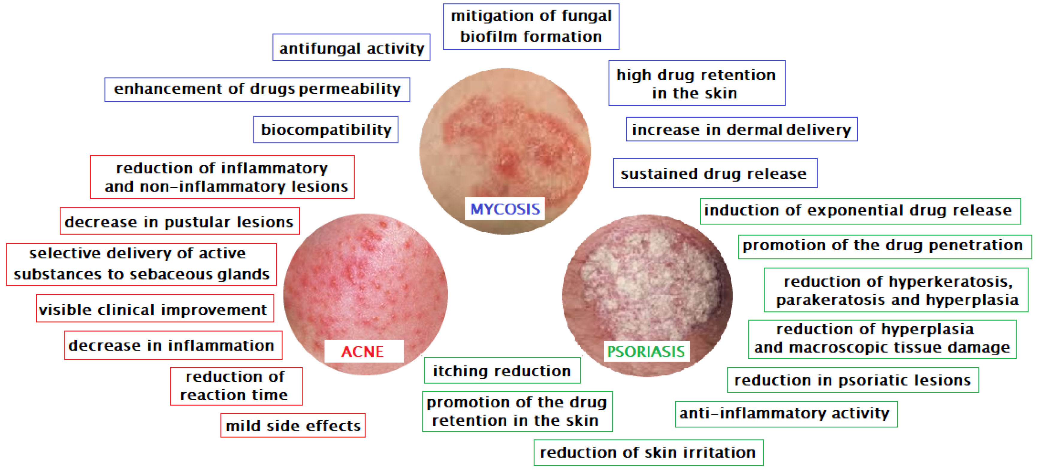 Pharmaceutics 12 00396 g001
