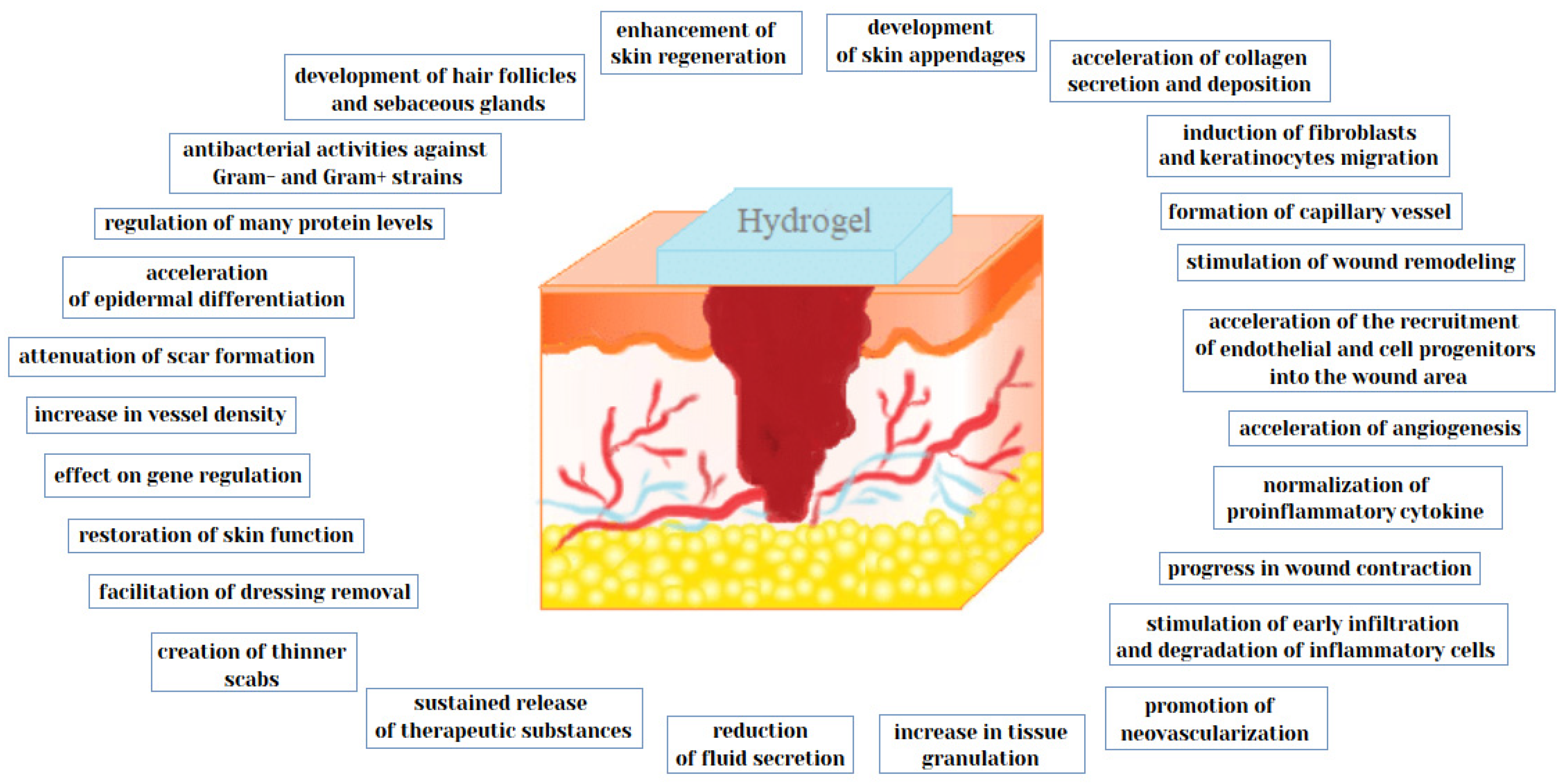 Pharmaceutics 12 00396 g002