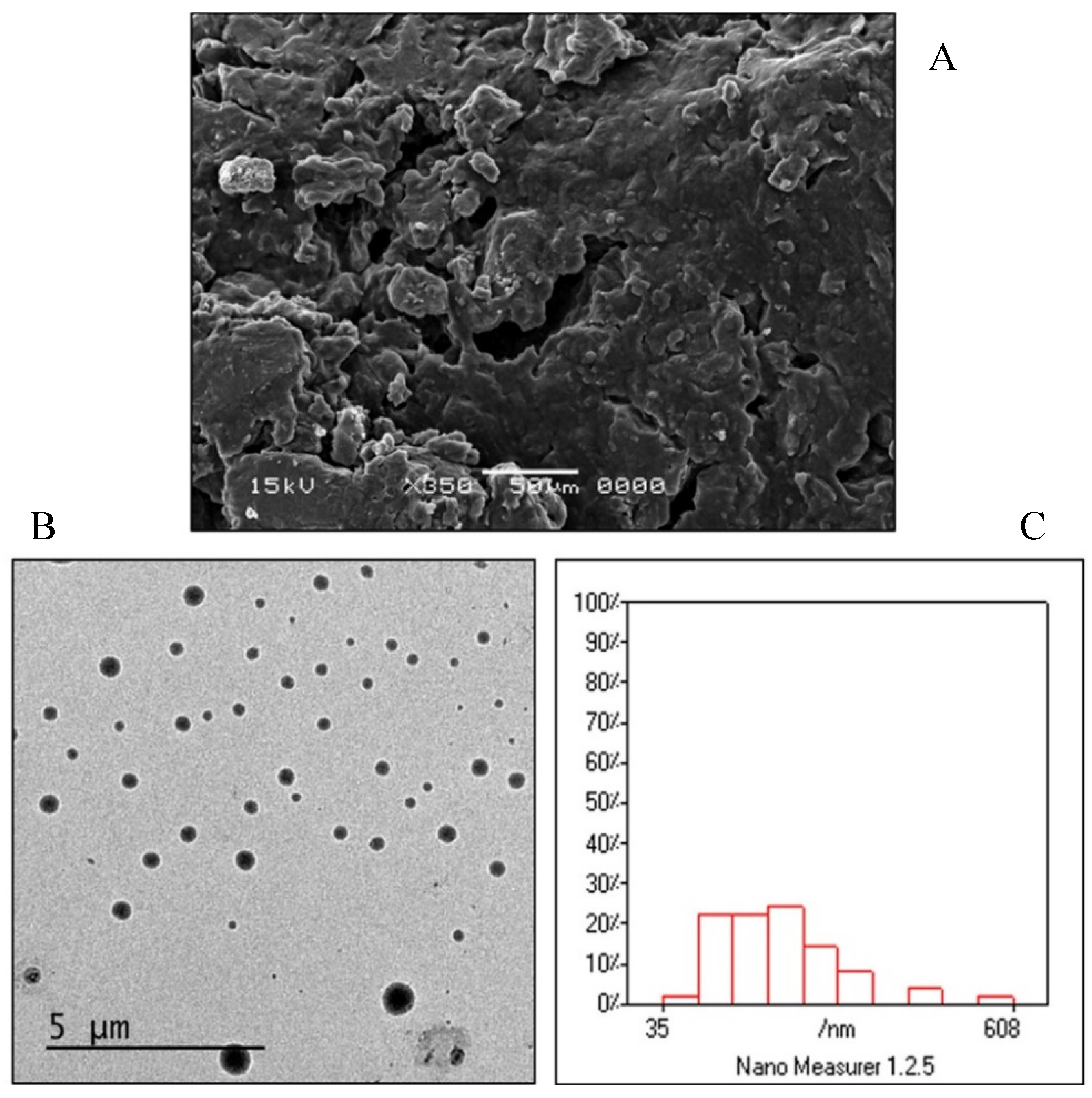 Pharmaceutics 12 00409 g005