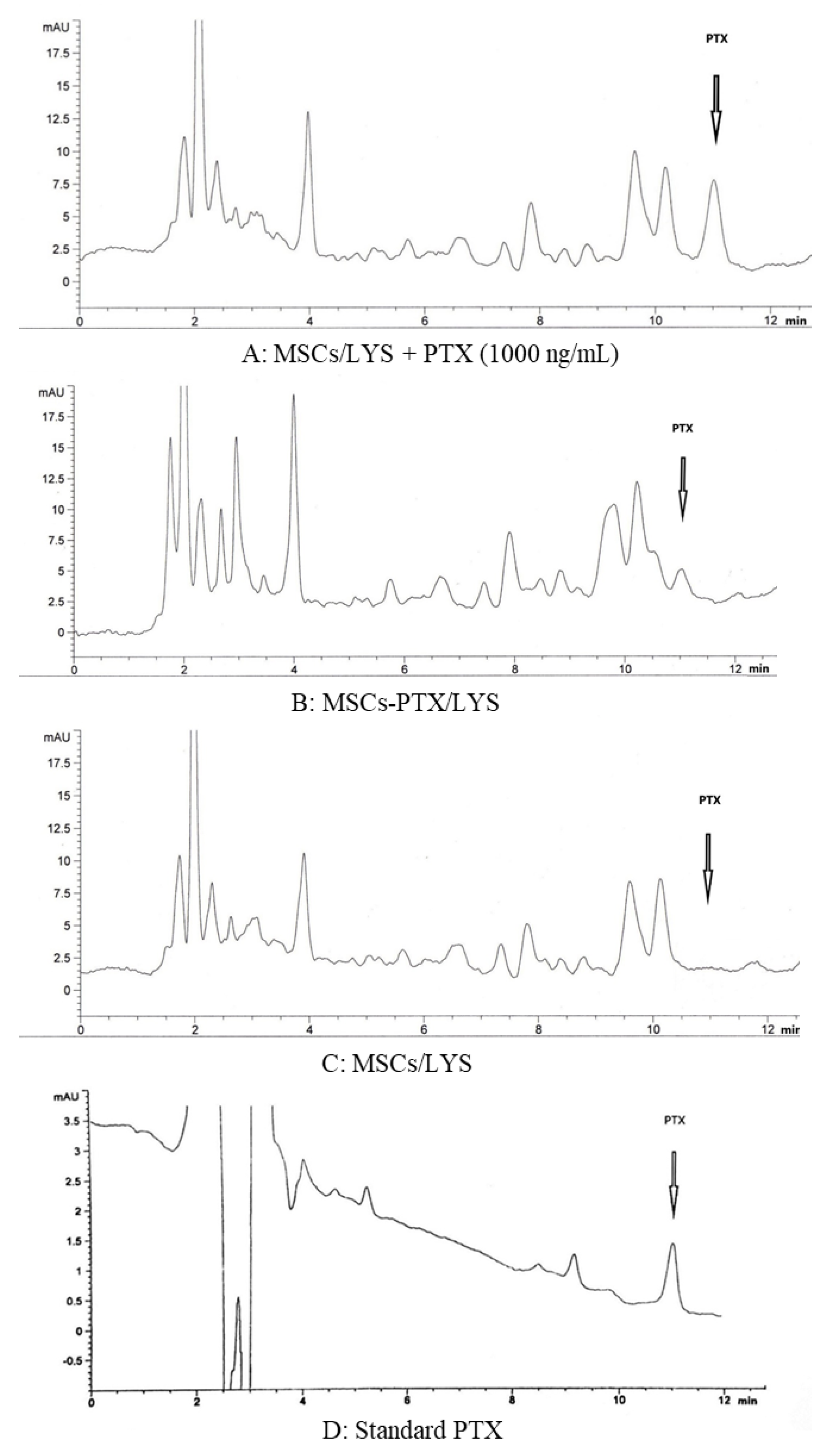 Pharmaceutics 12 00411 g004 Pharmaceutics 12 00411 g004