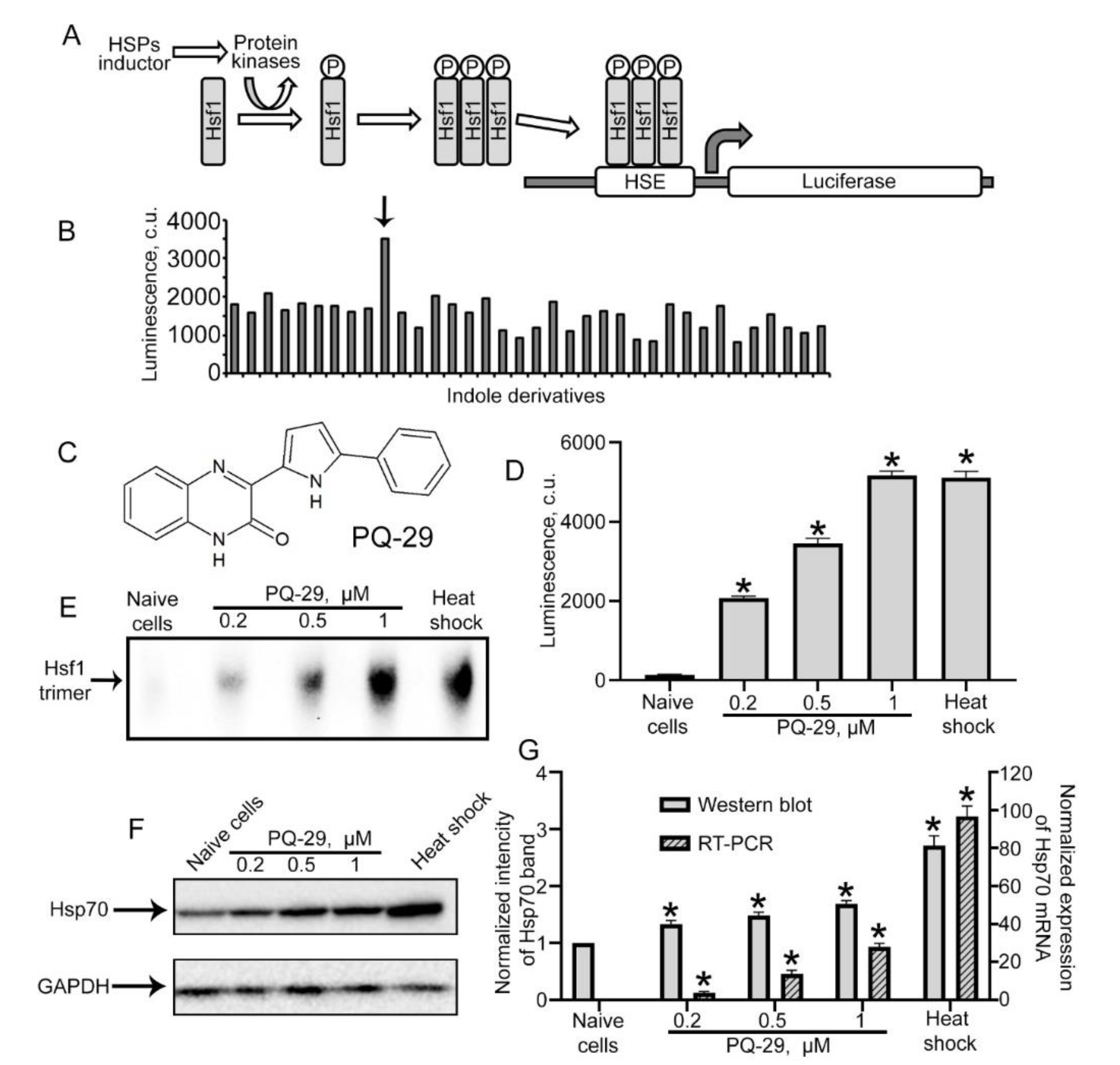 Pharmaceutics 12 00414 g001 Pharmaceutics 12 00414 g001