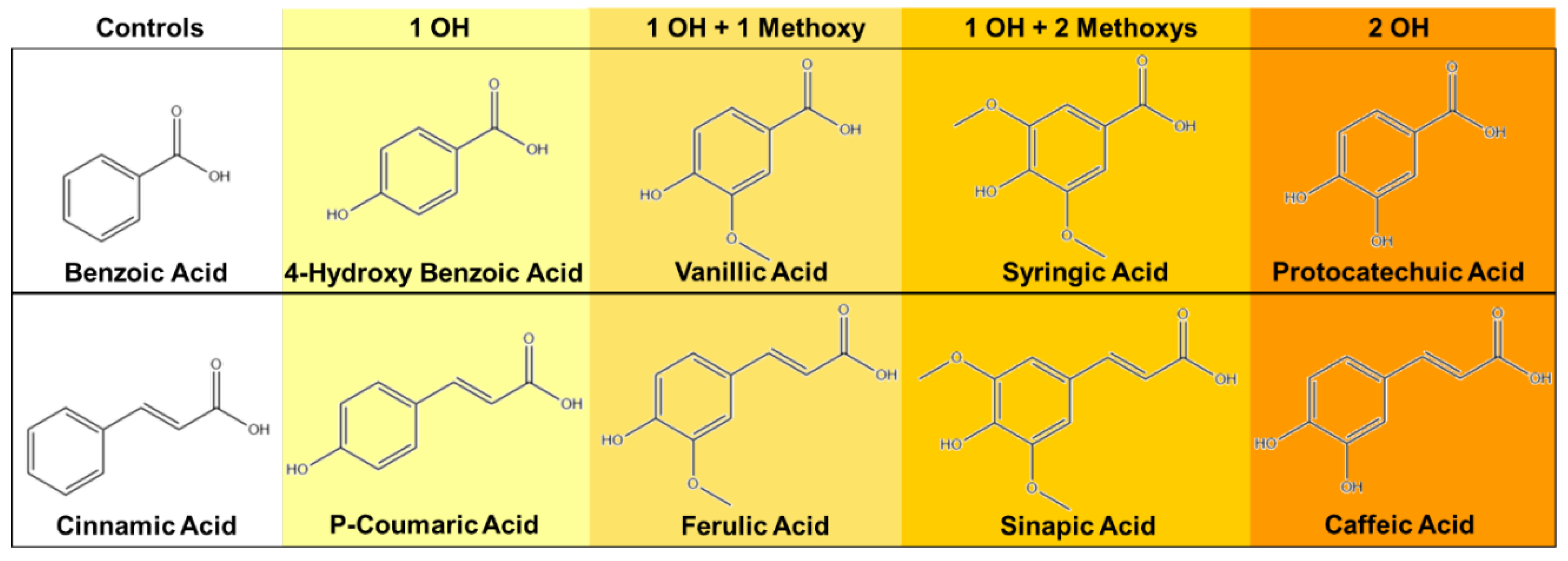 Pharmaceutics 12 00419 g001
