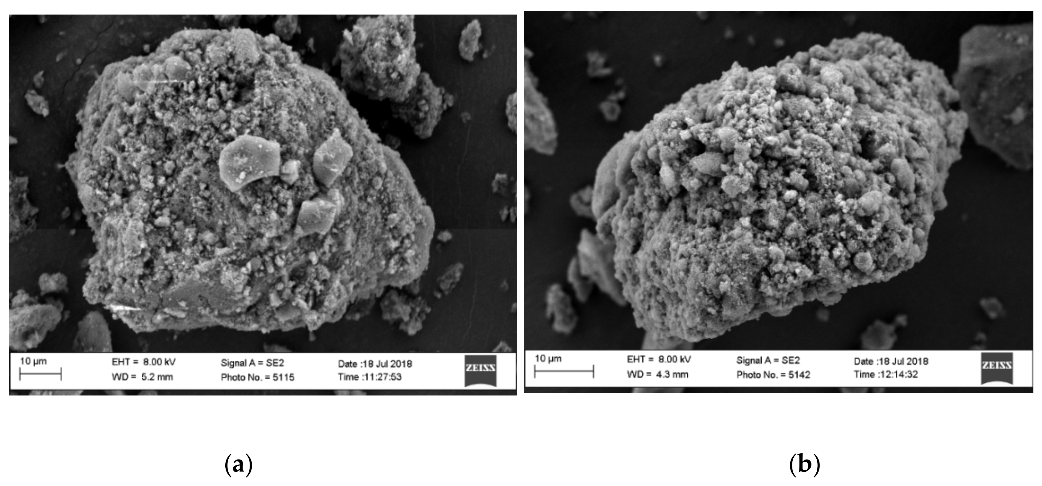 Pharmaceutics 12 00426 g001 Pharmaceutics 12 00426 g001