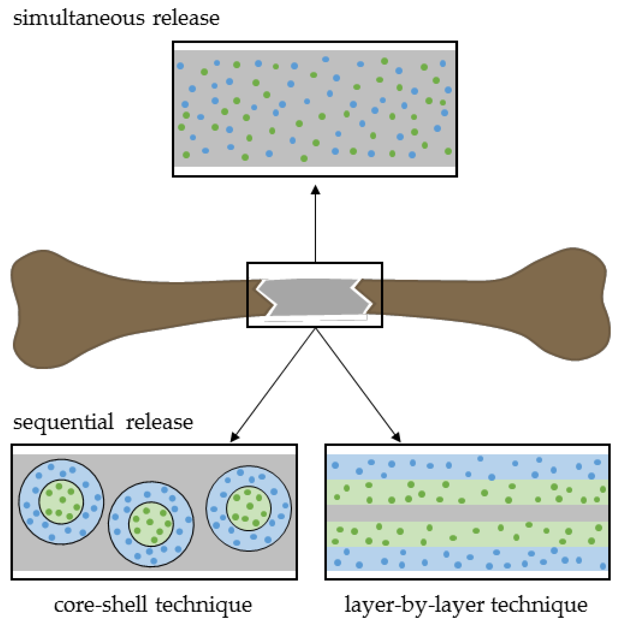 Pharmaceutics 12 00428 g007 Pharmaceutics 12 00428 g007