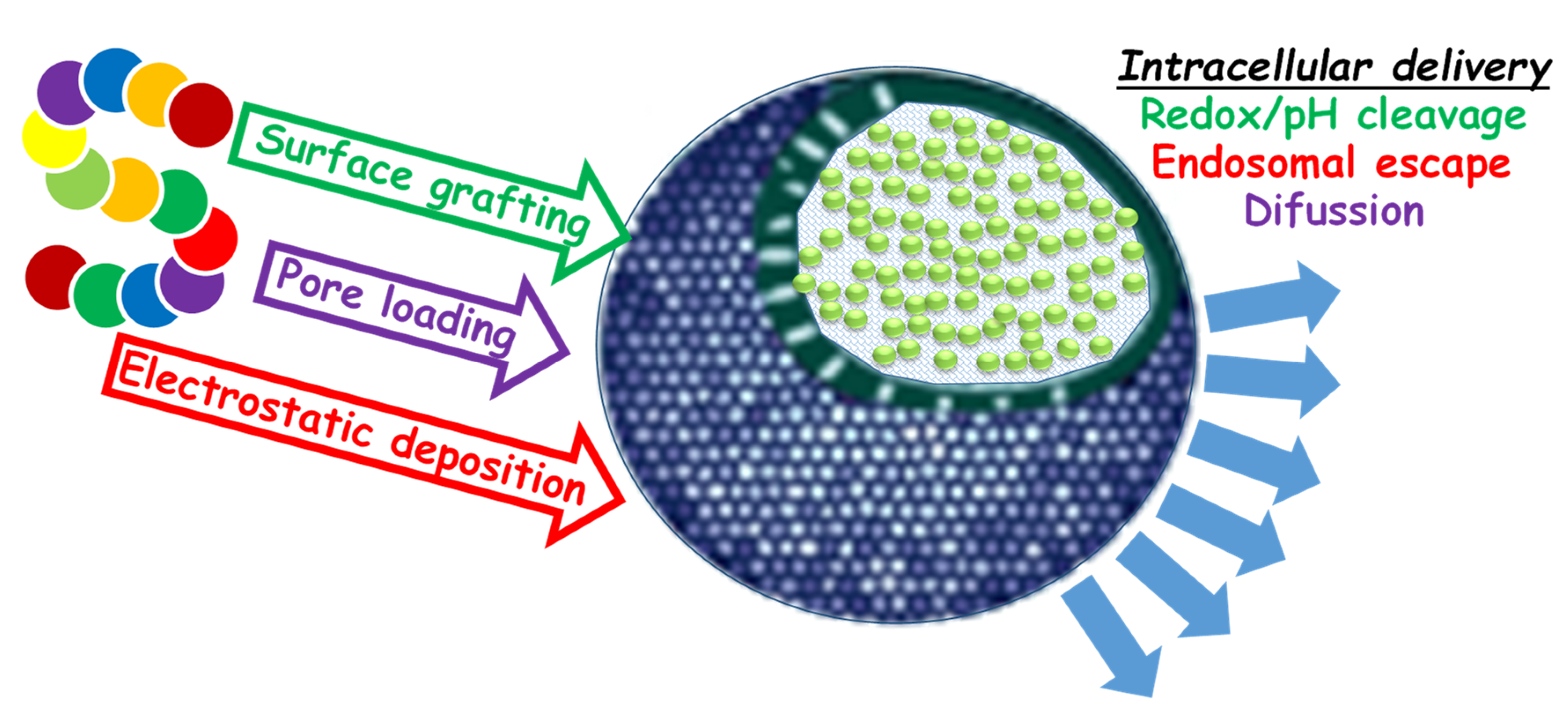 Pharmaceutics 12 00432 g004 Pharmaceutics 12 00432 g004