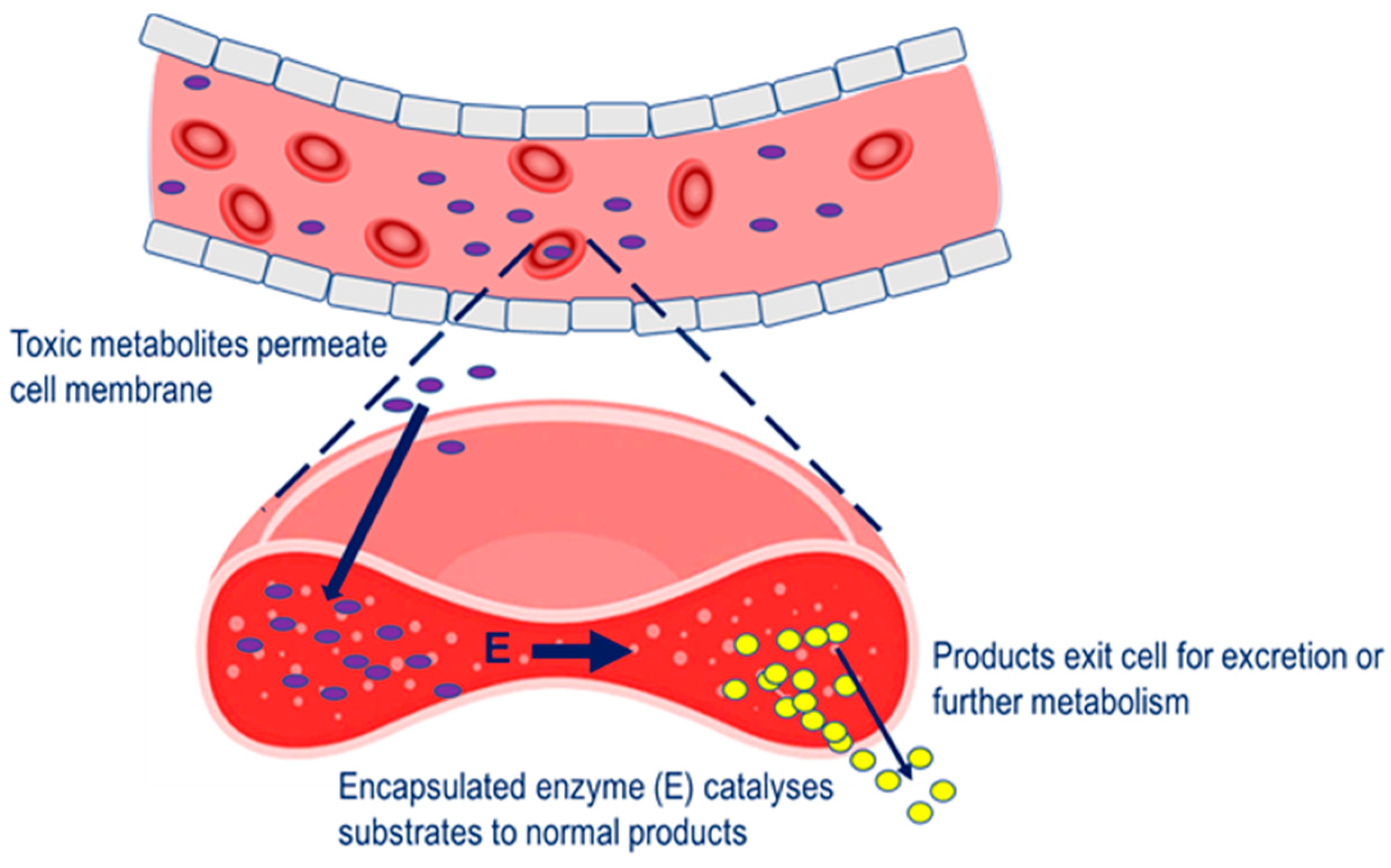 Pharmaceutics 12 00435 g001 Pharmaceutics 12 00435 g001