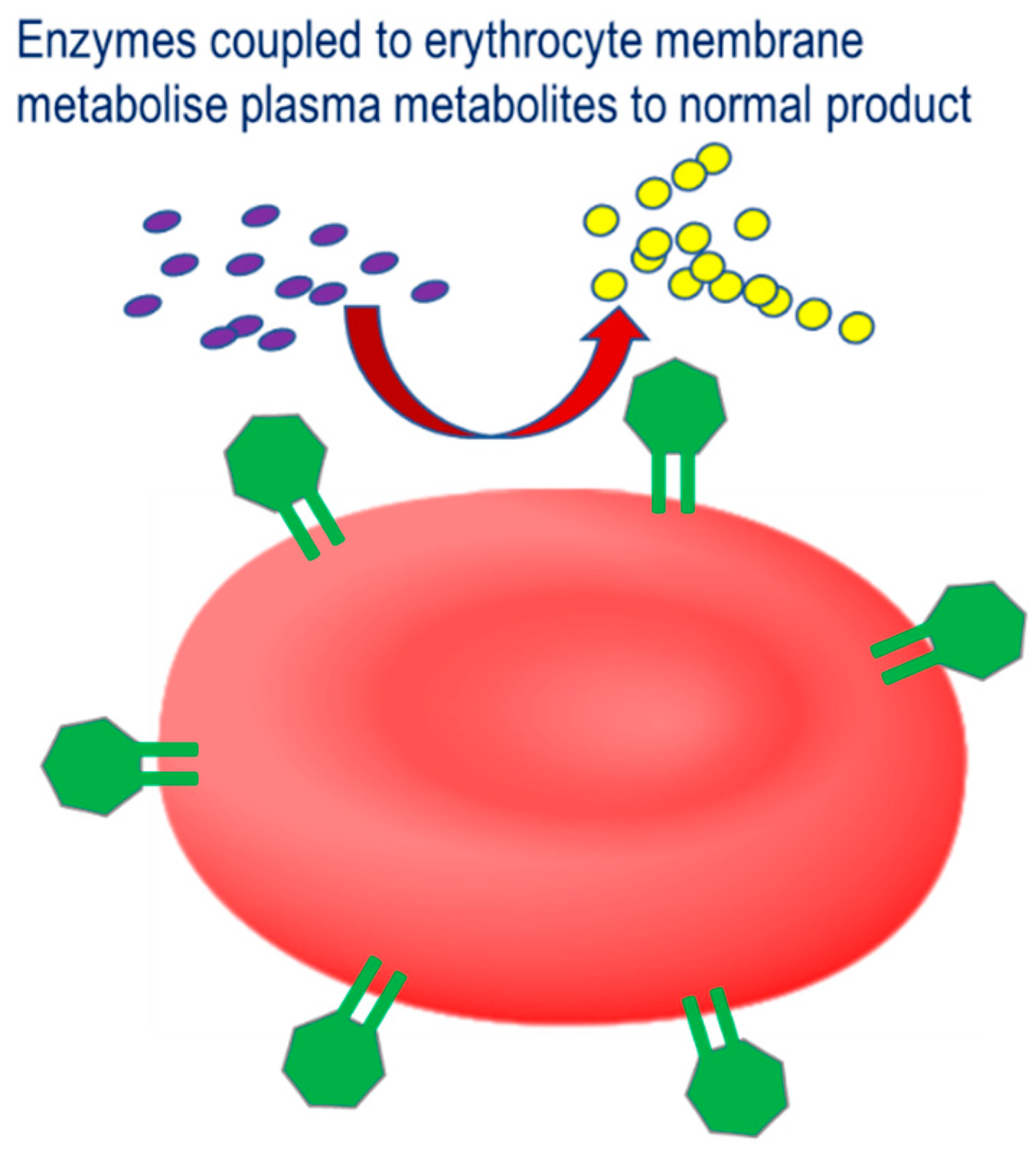 Pharmaceutics 12 00435 g003 Pharmaceutics 12 00435 g003