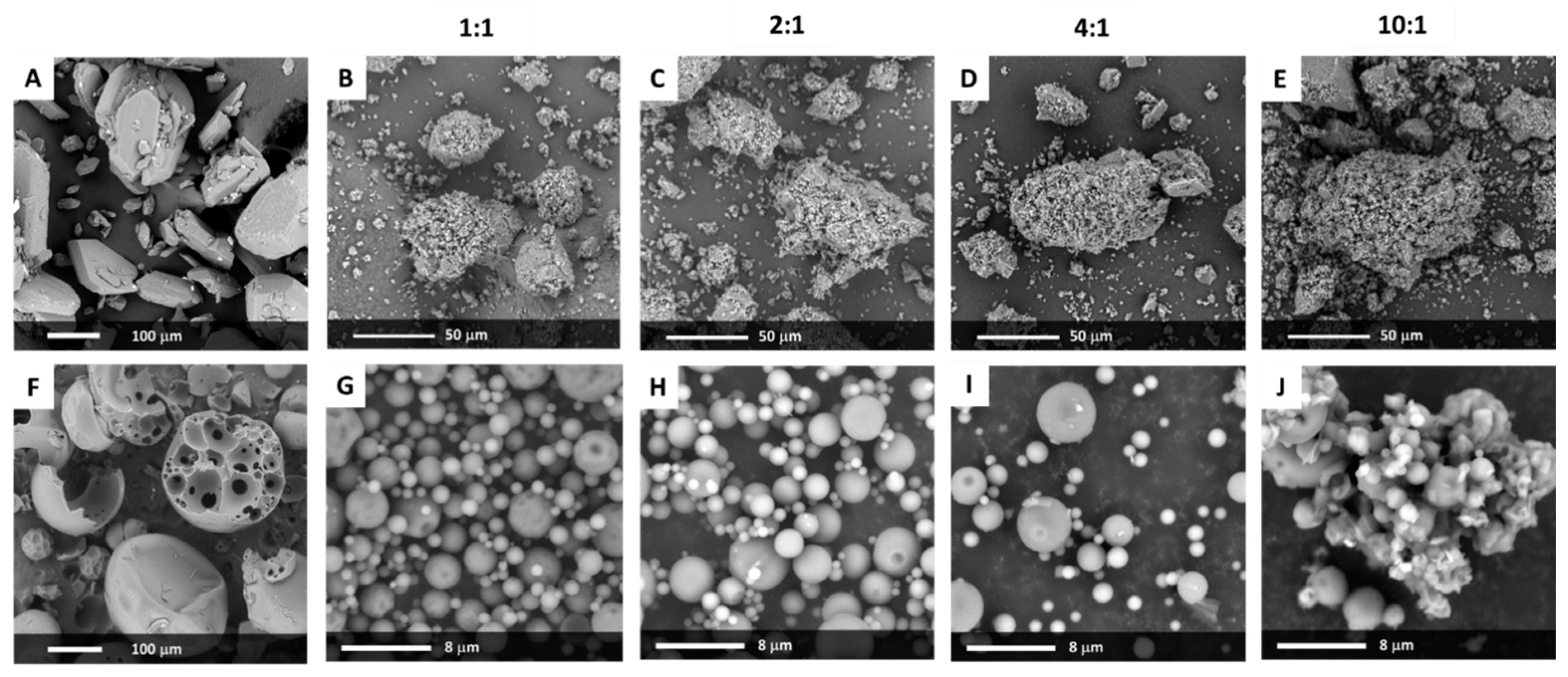 Pharmaceutics 12 00438 g001